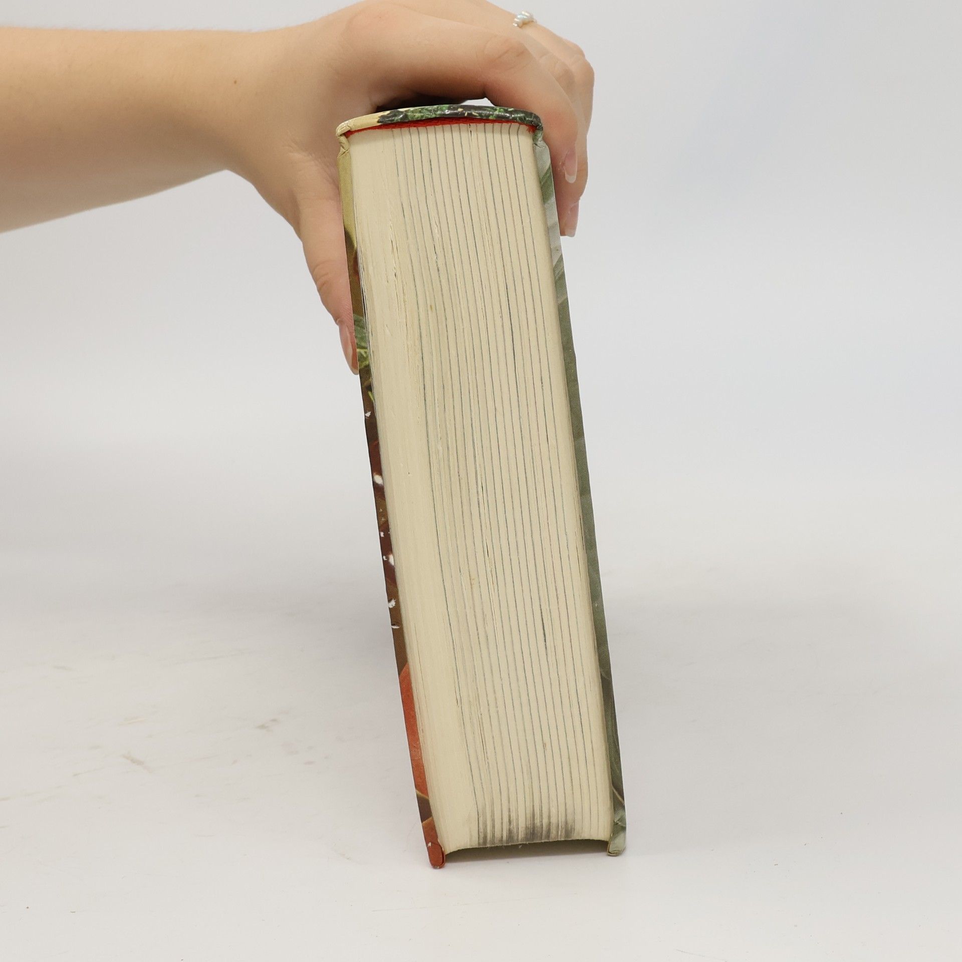 Albert Kofranek Das neue Donauland Kochbuch