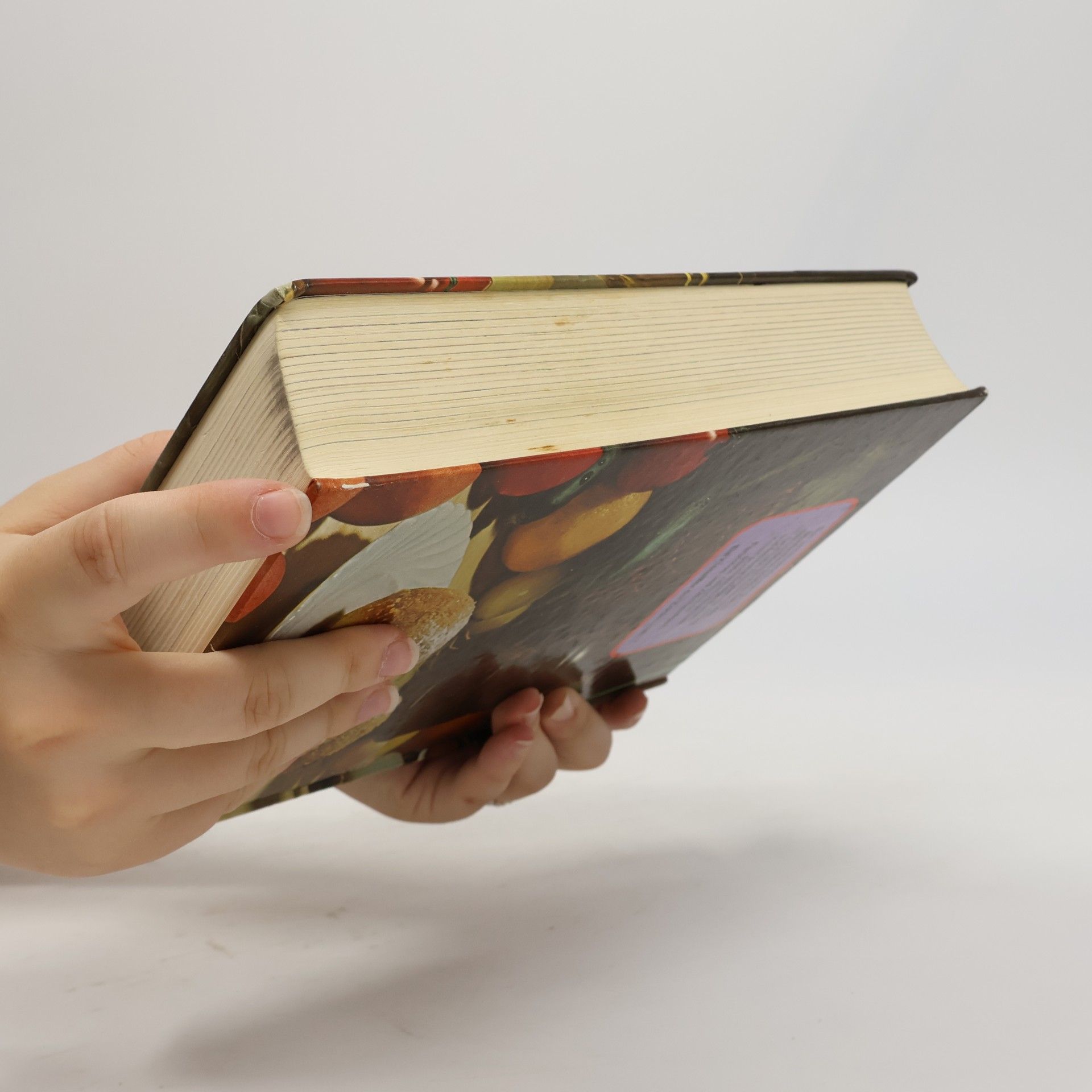 Albert Kofranek Das neue Donauland Kochbuch