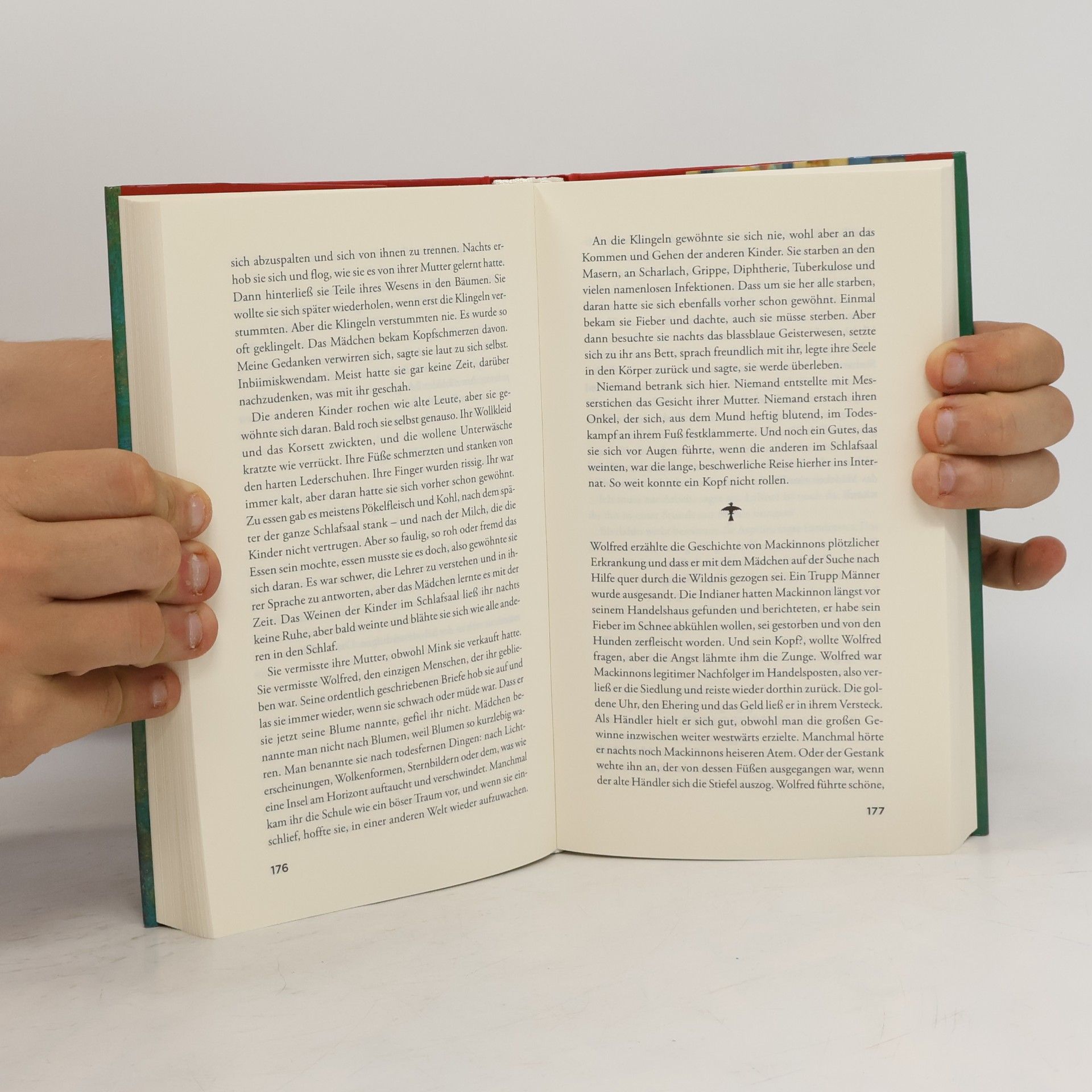 Louise Erdrich Ein Lied für die Geister