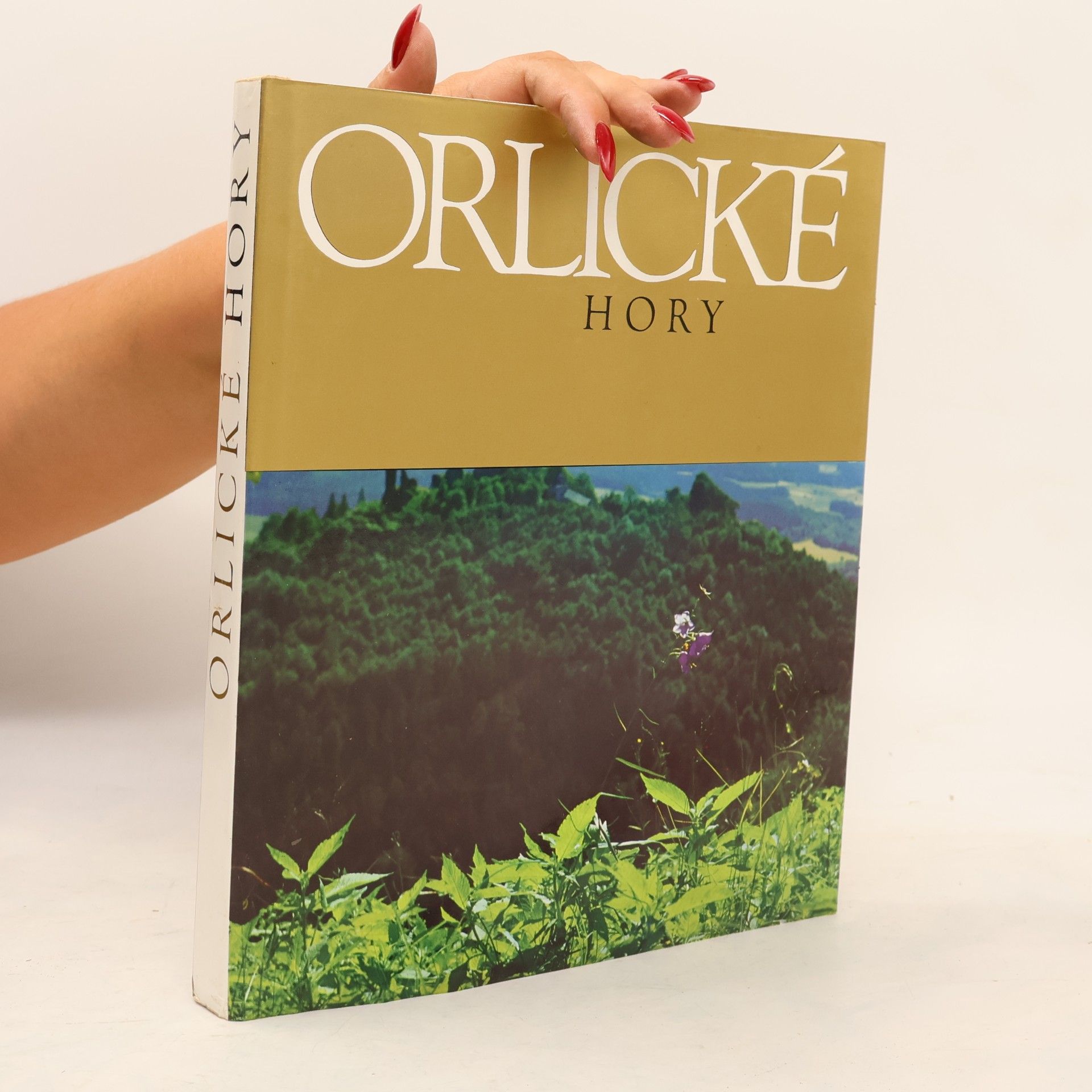 Karel Michal Orlické hory