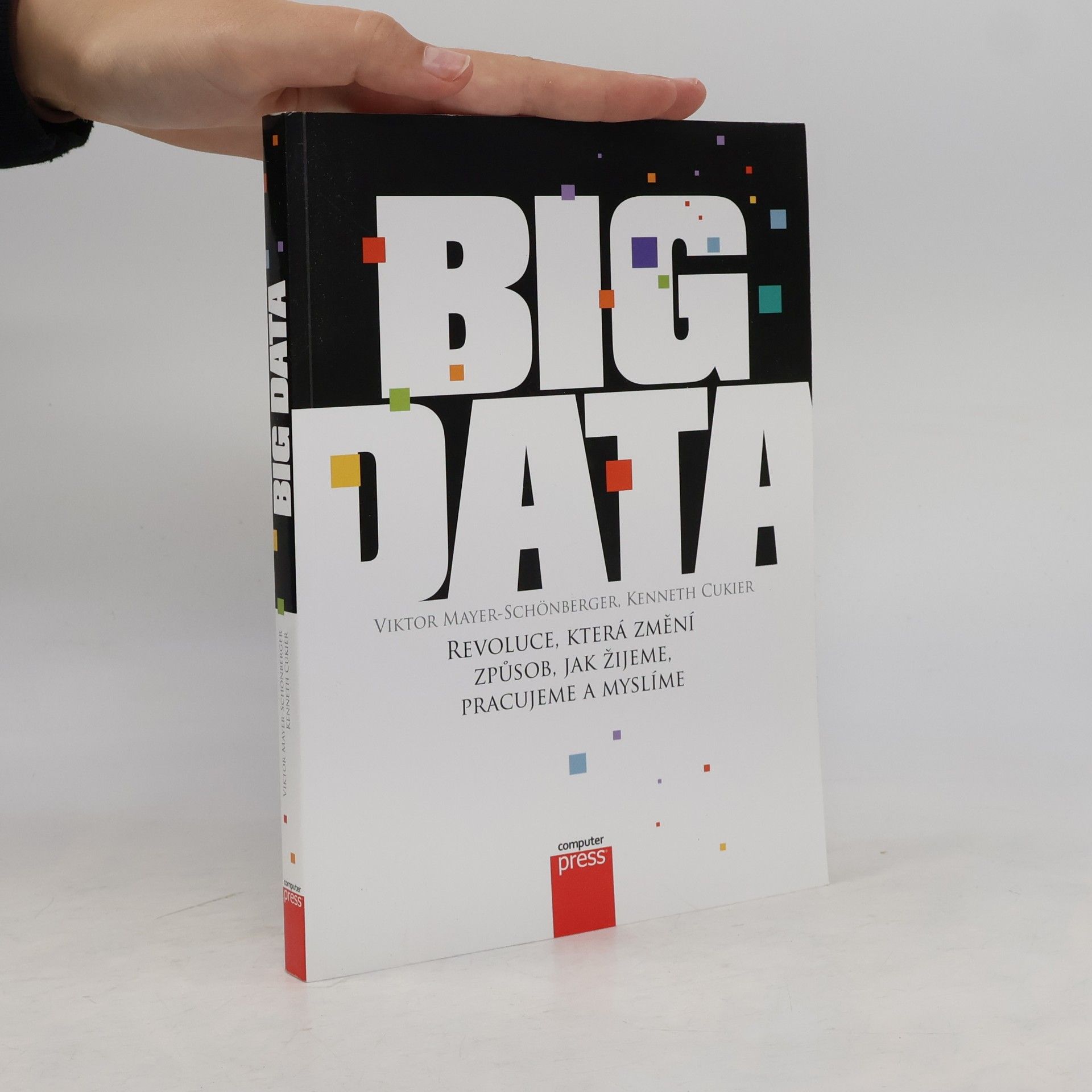 Viktor Mayer-Schönberger Big Data