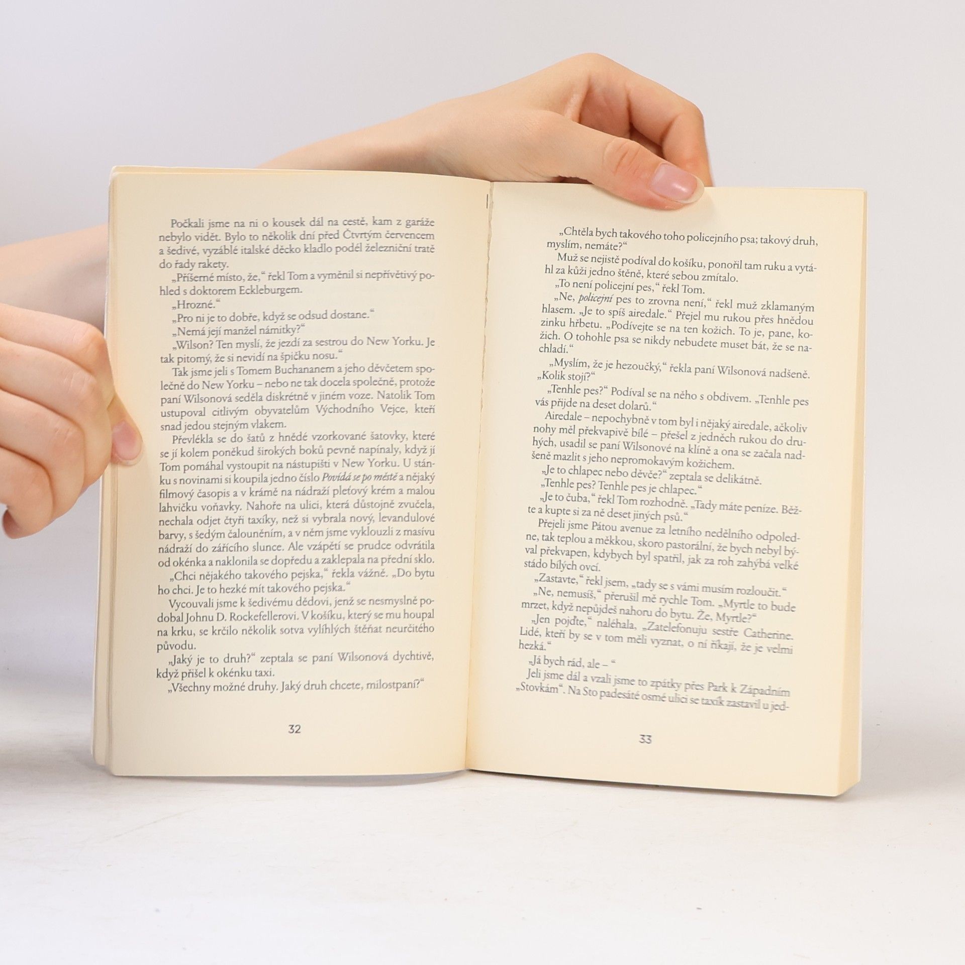 F. Scott Fitzgerald Velký Gatsby