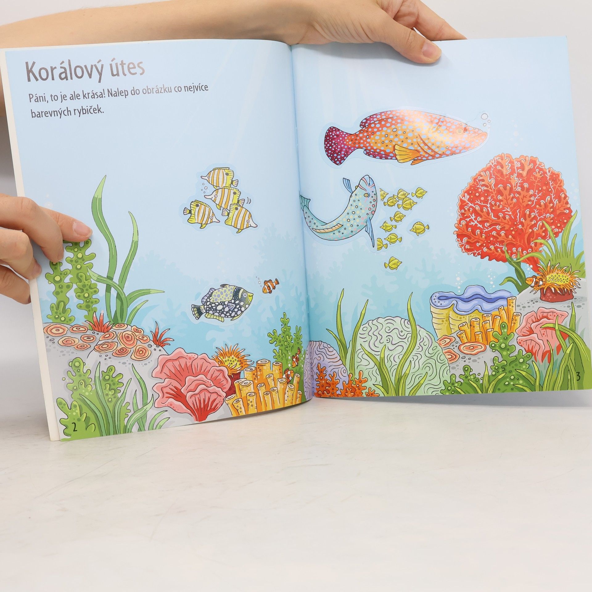 Autorenkollektiv Samolepková knížka. Pod hladinou