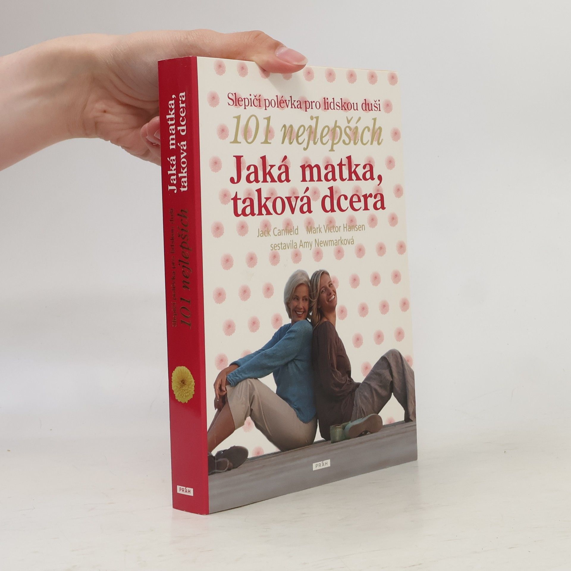 Amy Newmark Slepičí polévka pro lidskou duši. Jaká matka, taková dcera : 101 nejlepších