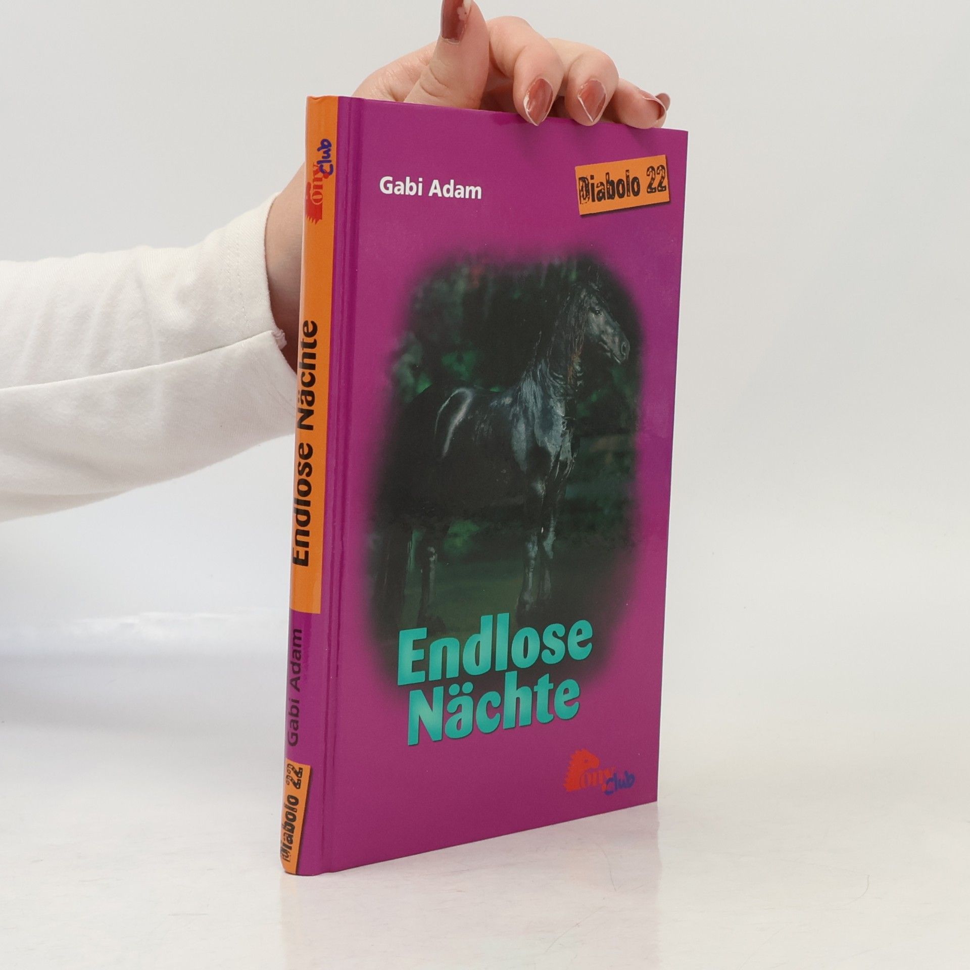 Gabi Adam Endlose Nächte (Diablo #22)