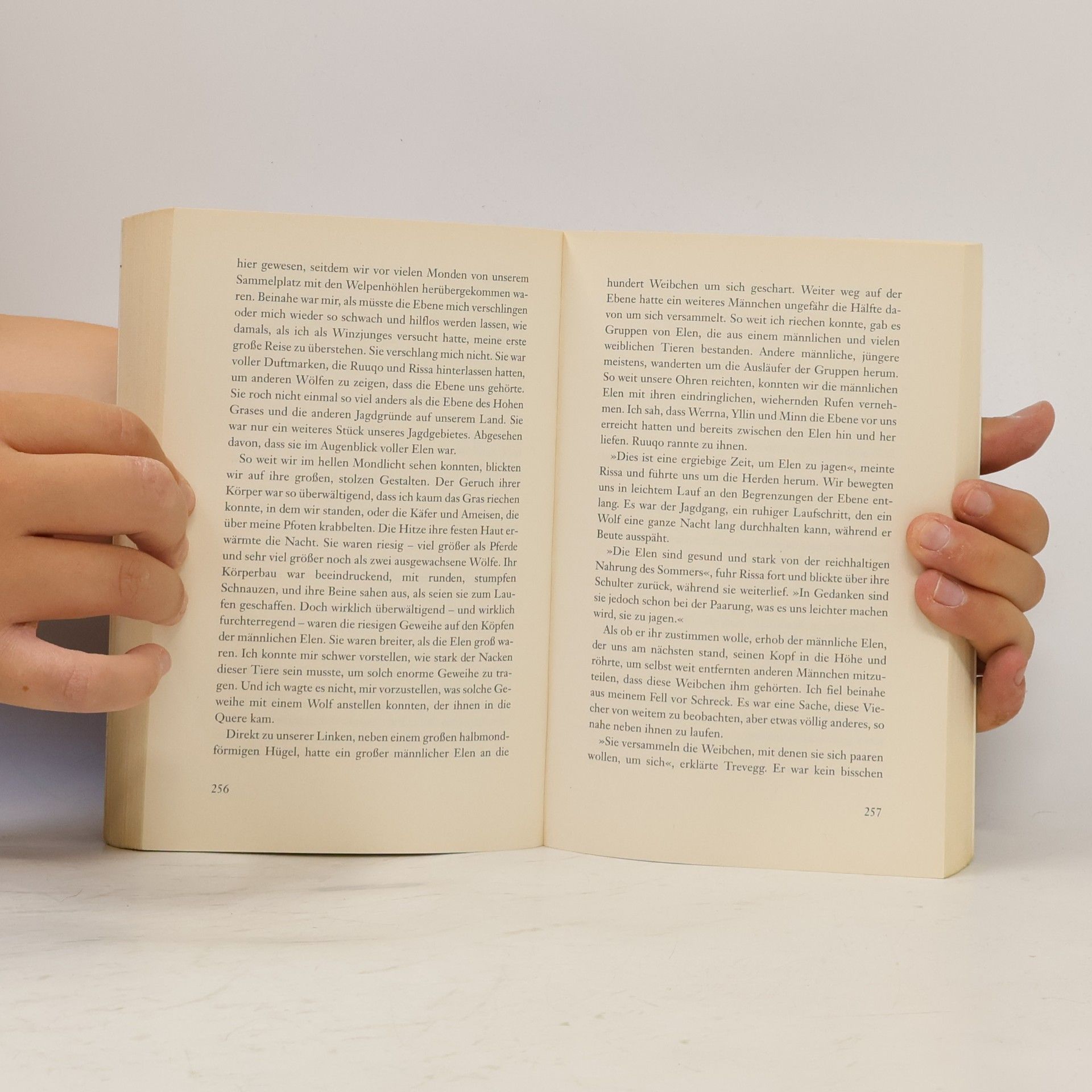 Dorothy Hearst Das Versprechen der Wölfe