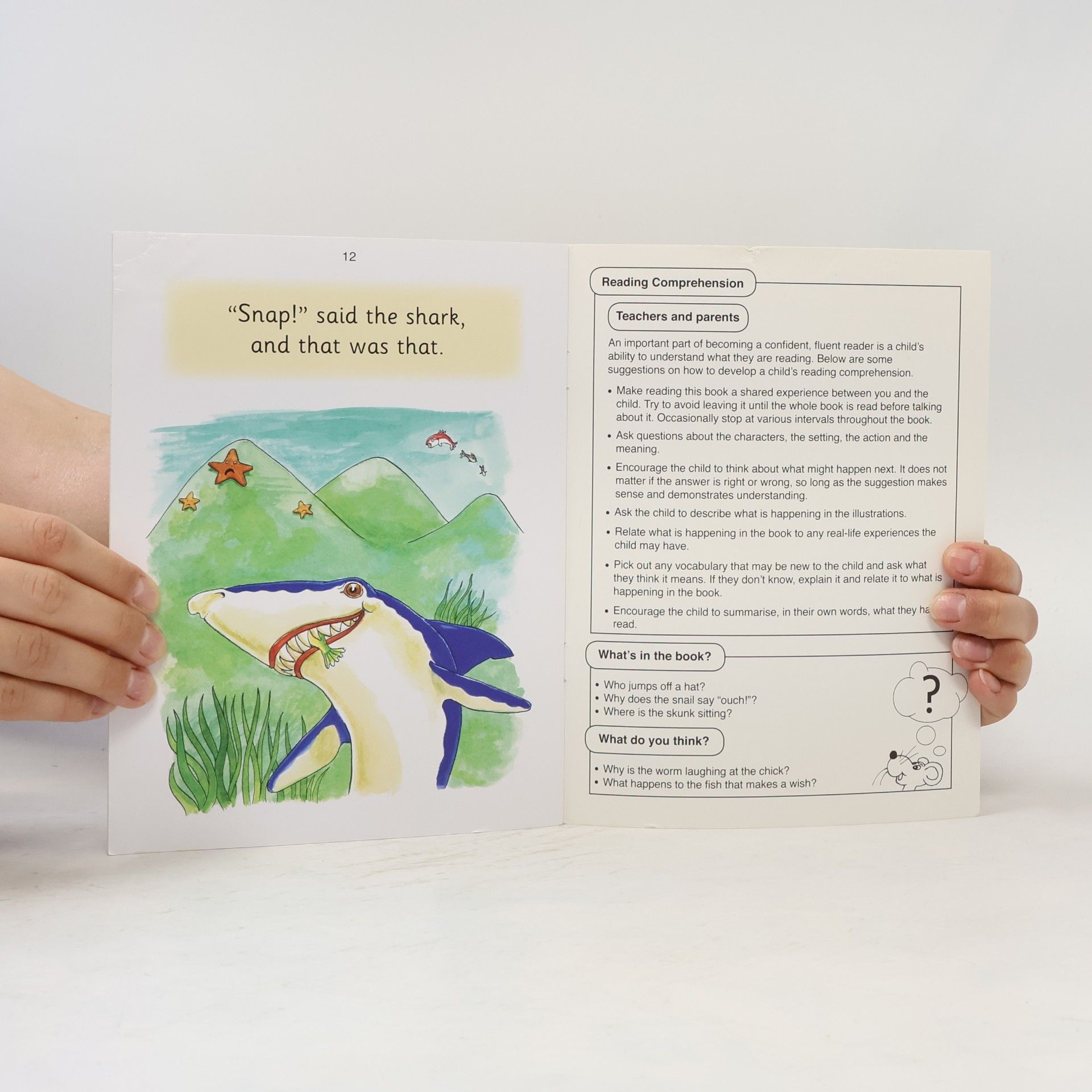 Sara Wernham Jolly Phonics: Animal Chatter
