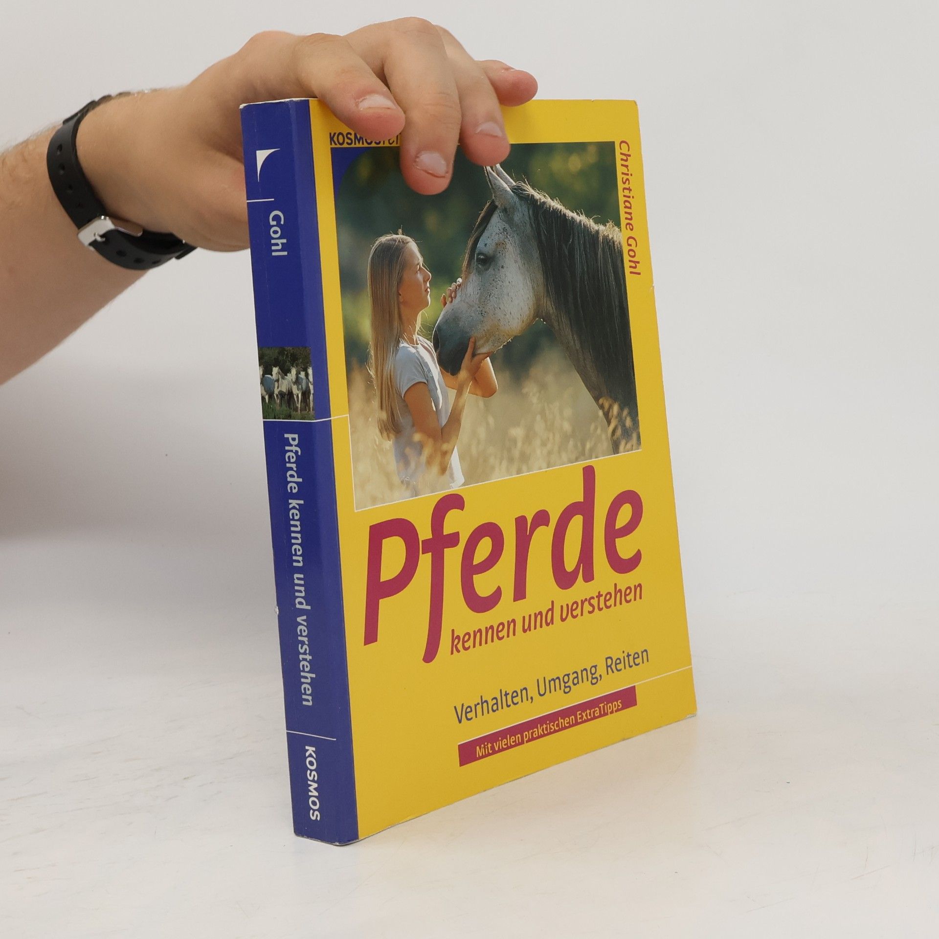Christiane Gohl Pferde