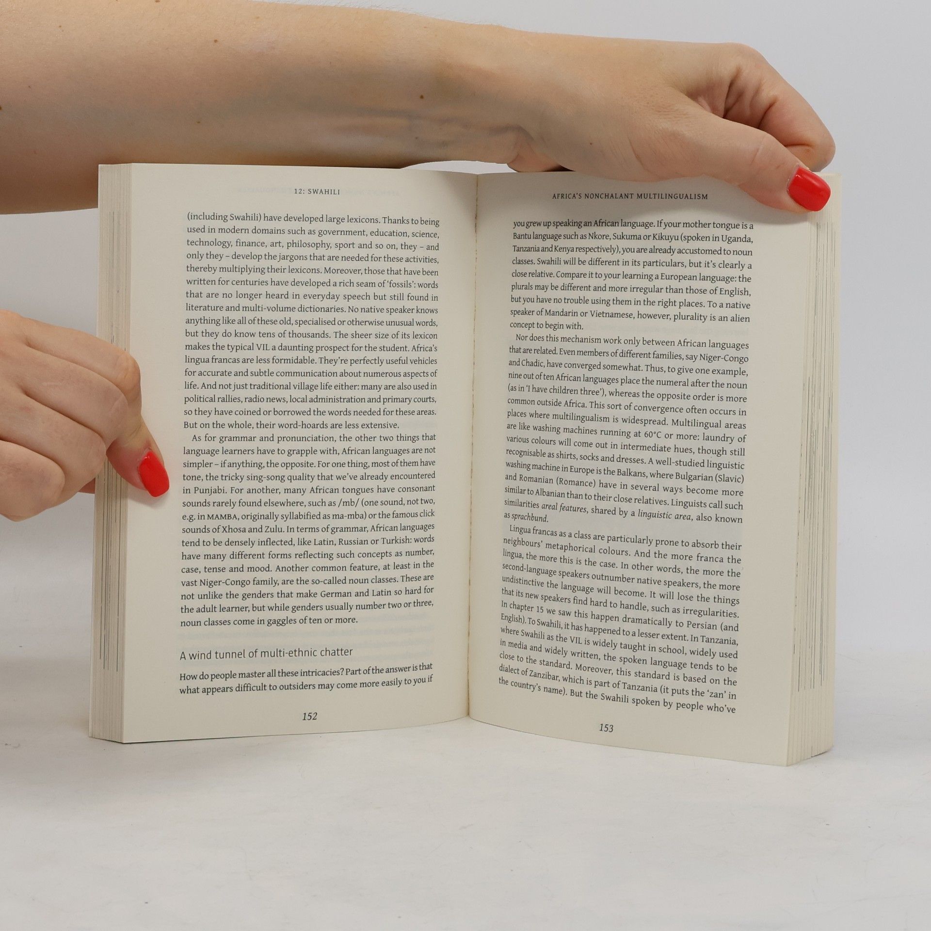 Gaston Dorren Babel : around the world in twenty languages