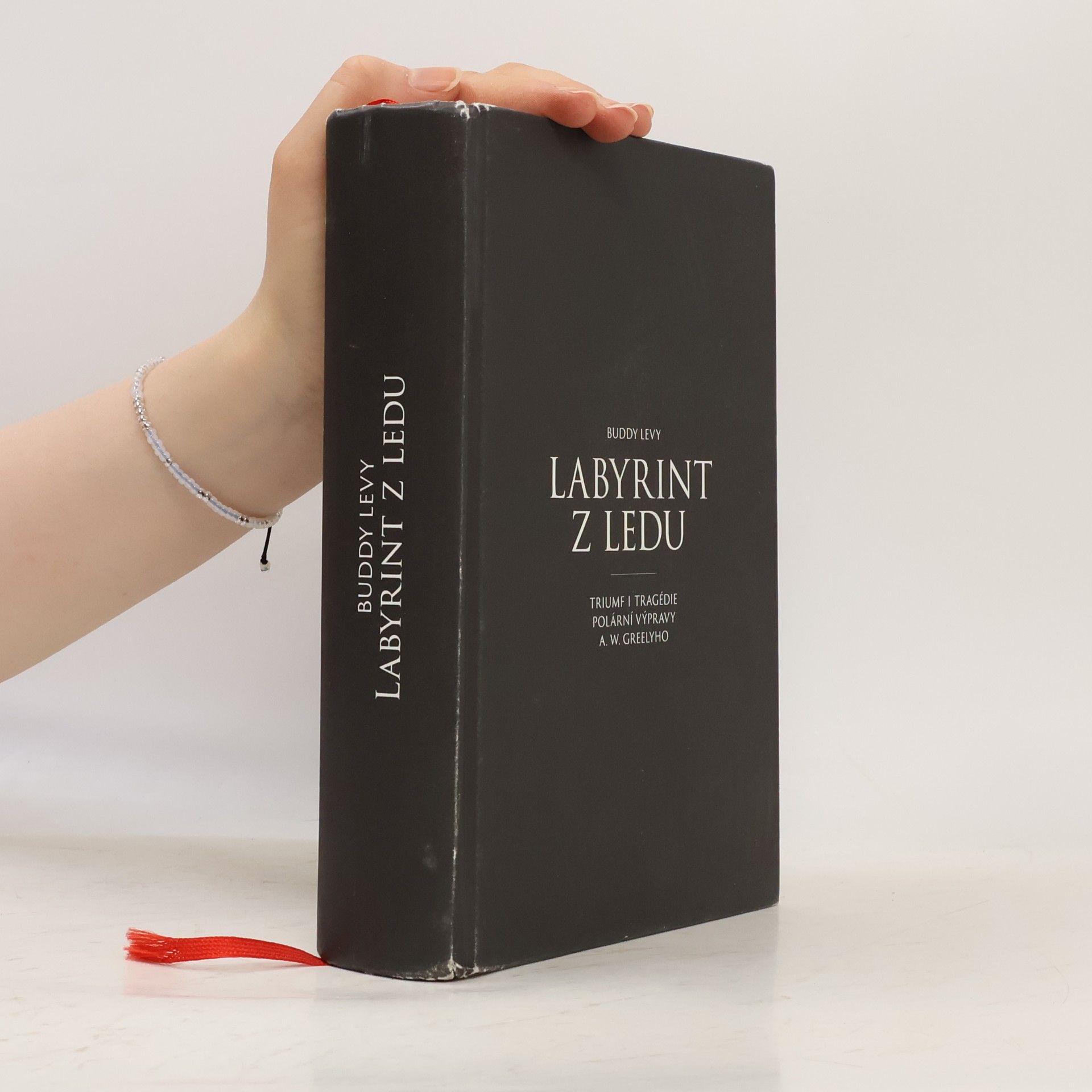 Buddy Levy Labyrint z ledu