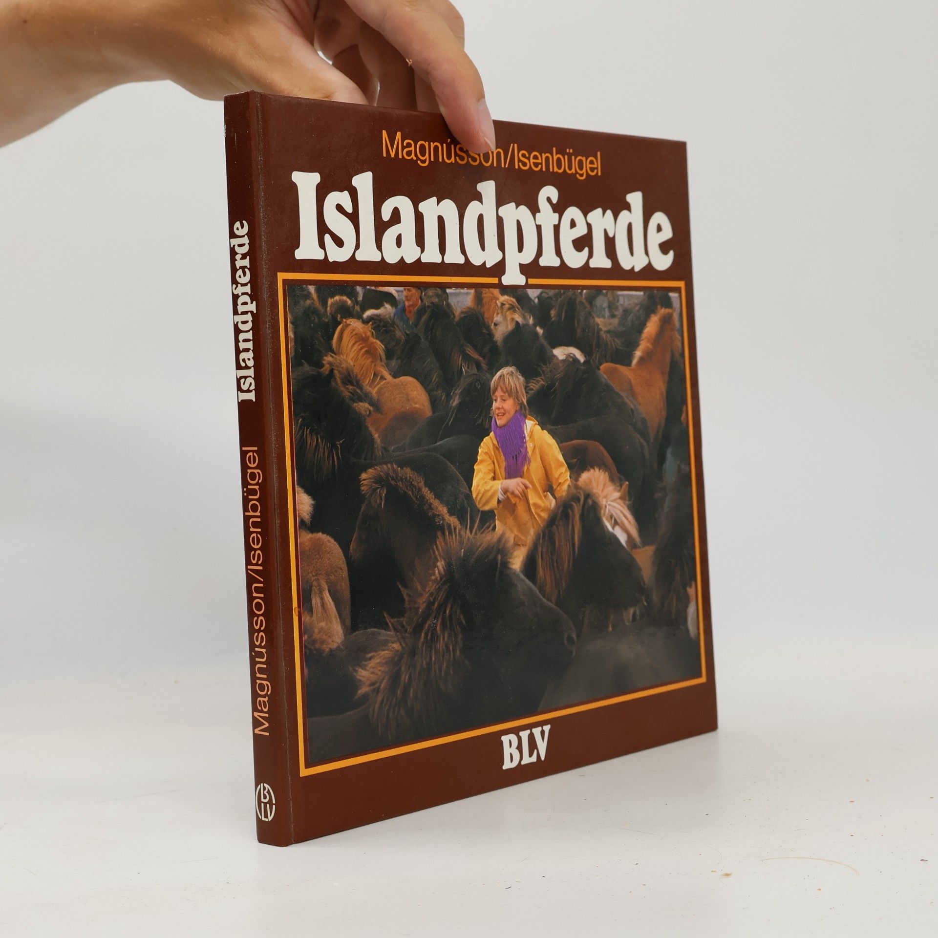 Sigurdur A. Magnússon Islandpferde