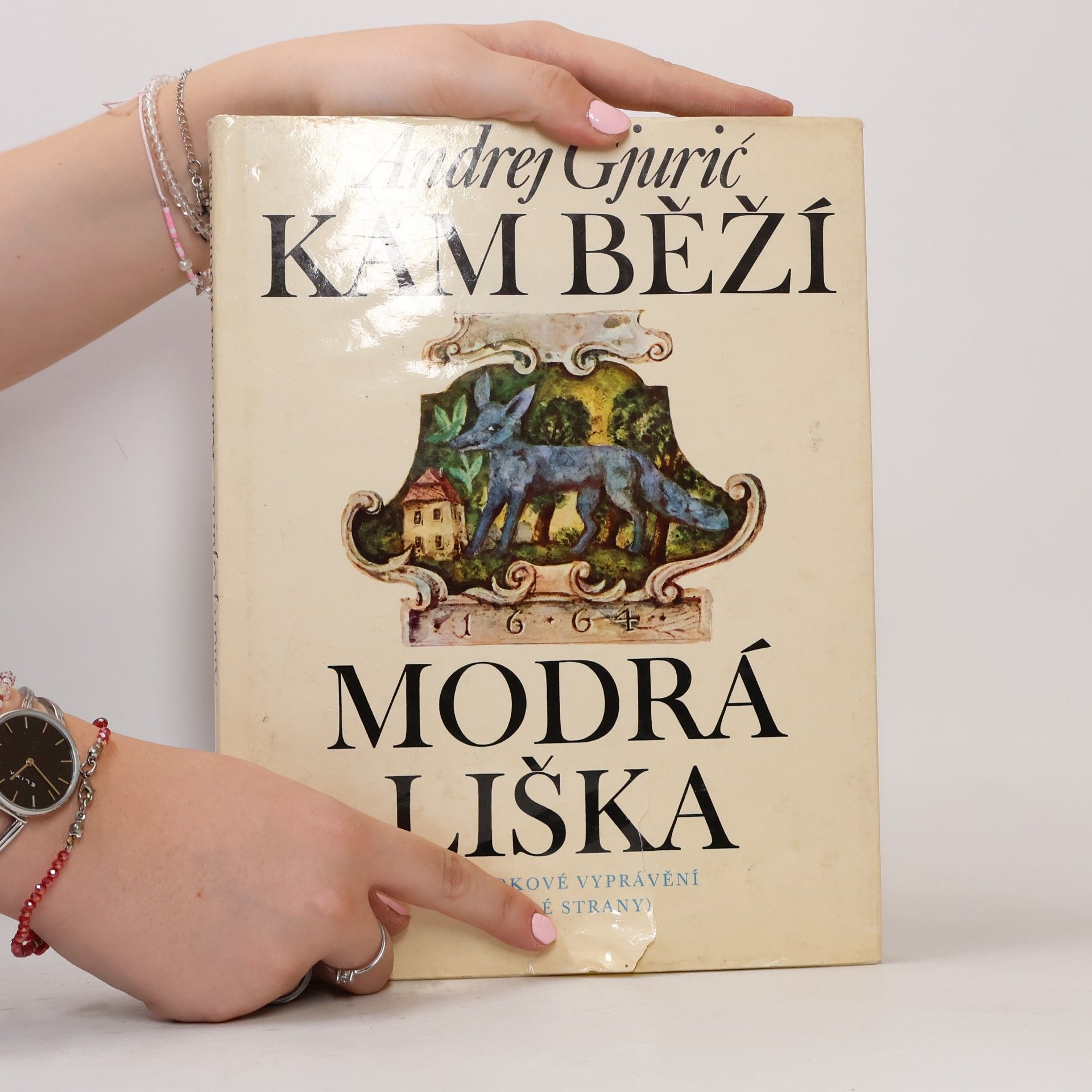 Andrej Gjurič Kam běží modrá liška
