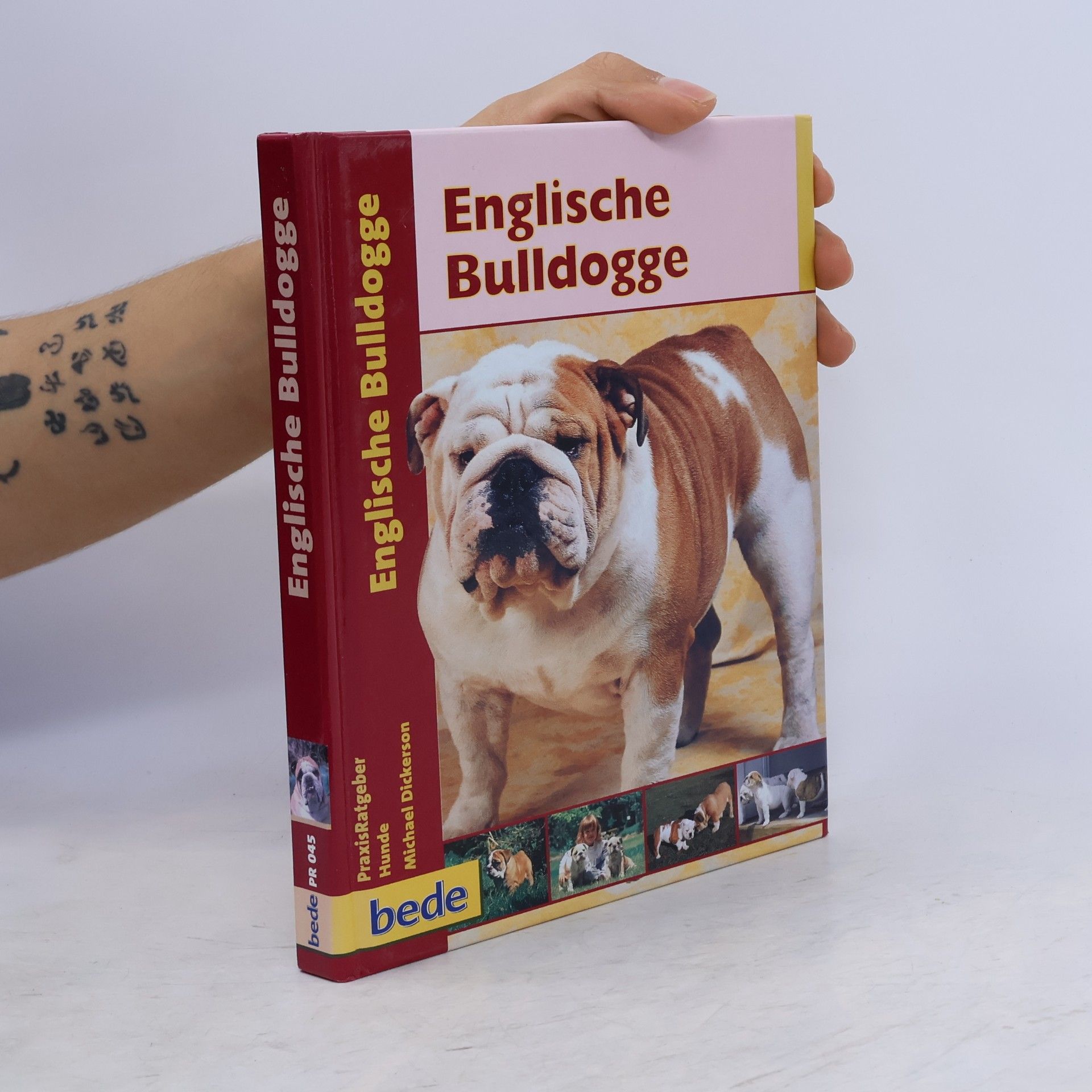 Michael Dickerson Englische Bulldogge