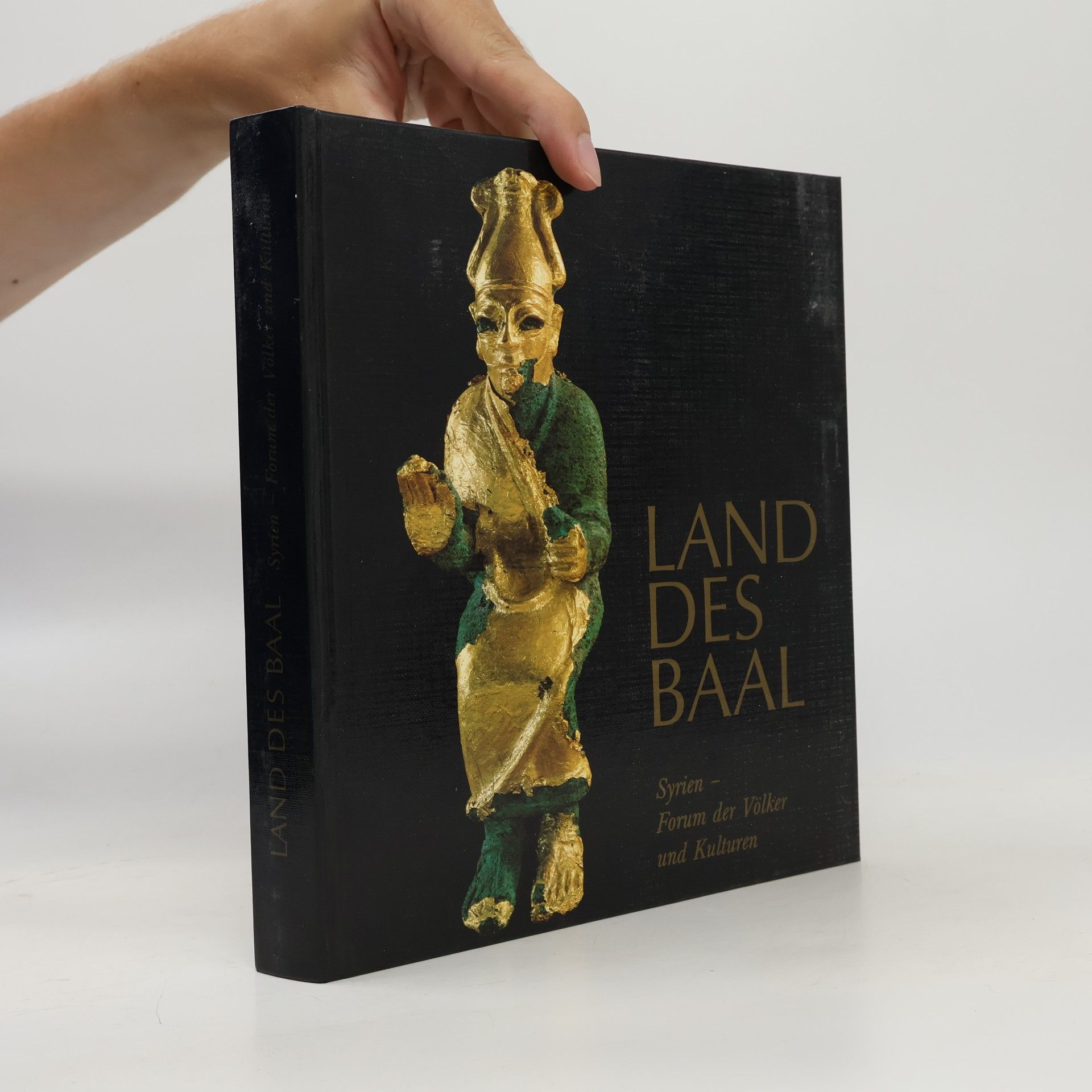 Kay Kohlmeyer Land des Baal