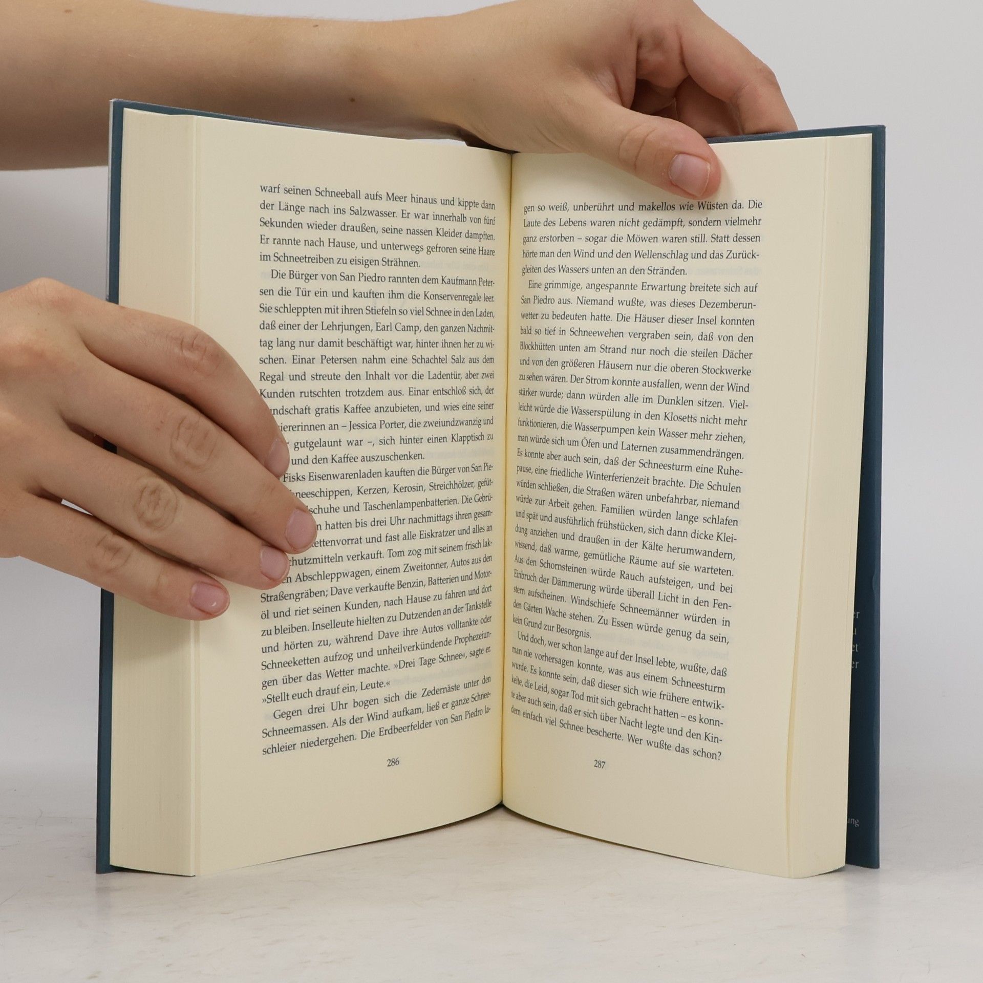 David Guterson Schnee, der auf Zedern fällt