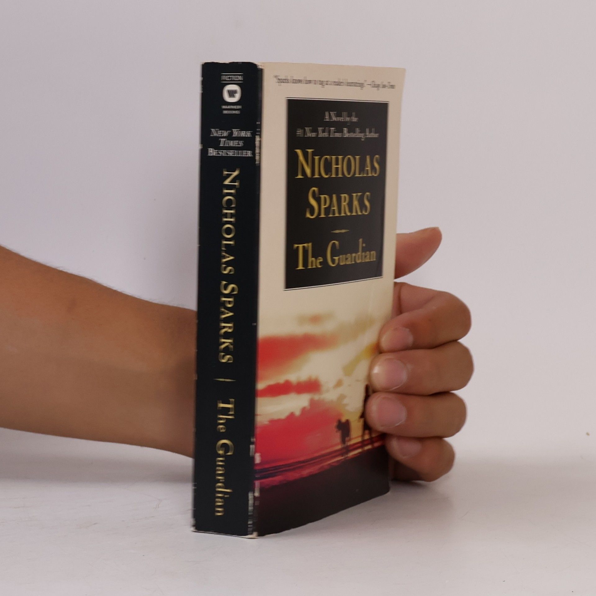 Nicholas Sparks The Guardian