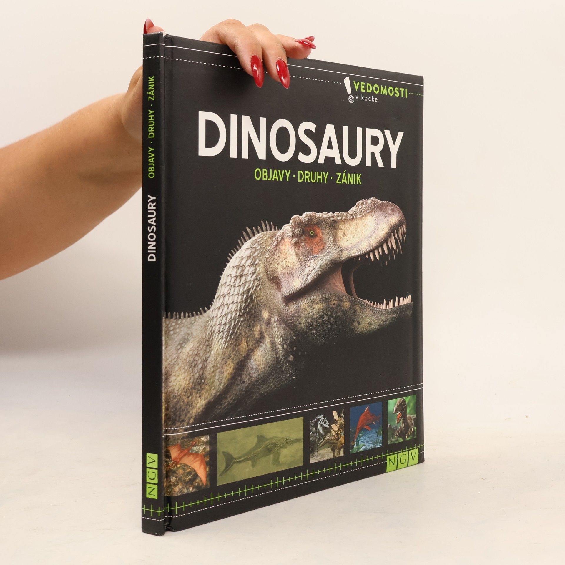 Autorenkollektiv Dinosaury