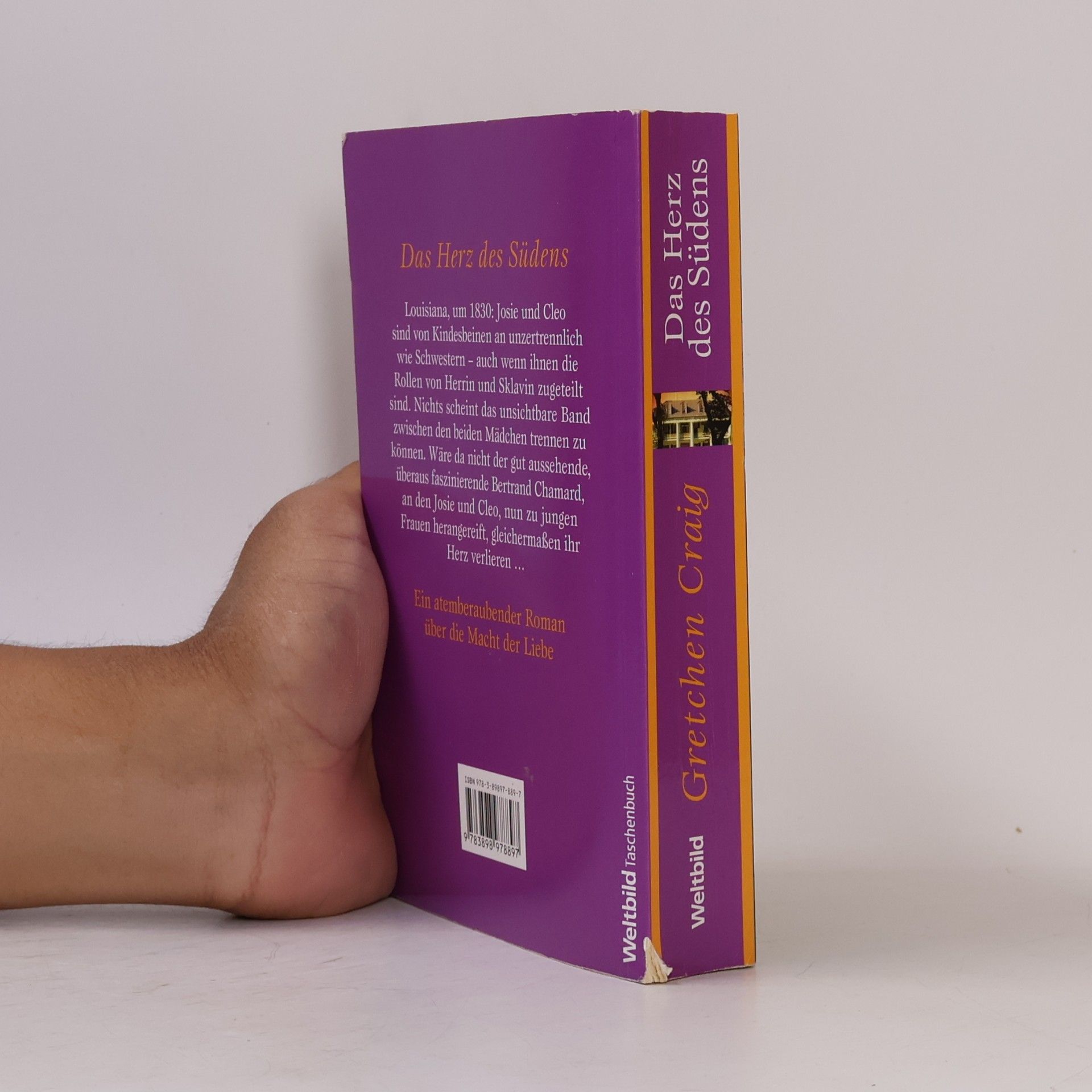 Gretchen Craig Das Herz des Südens