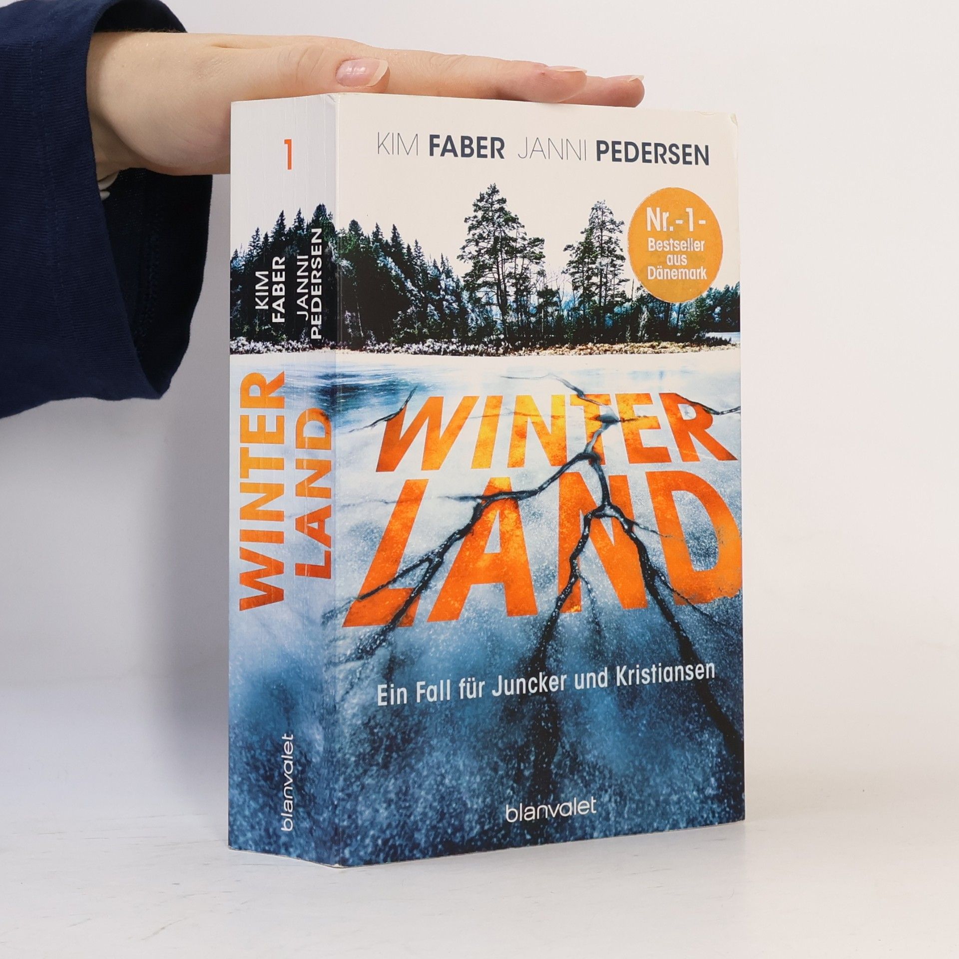 Kim Faber Winterland