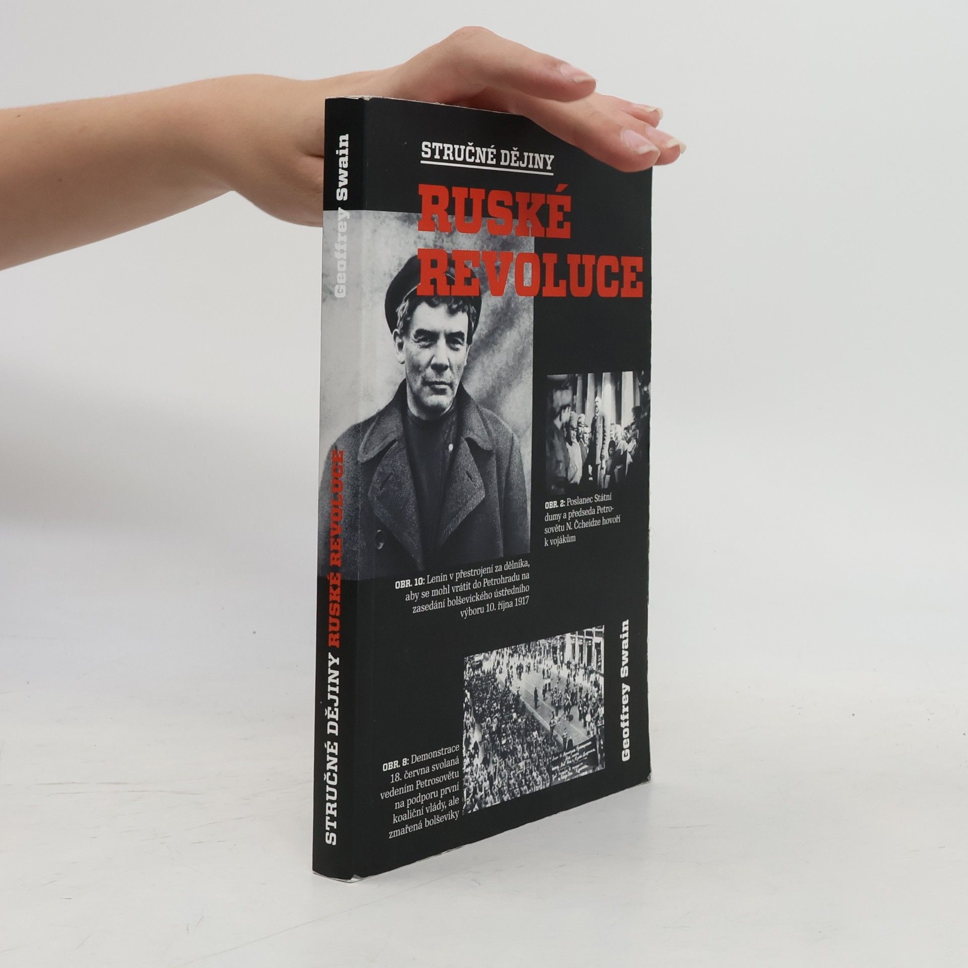 Geoffrey Swain Stručné dějiny ruské revoluce