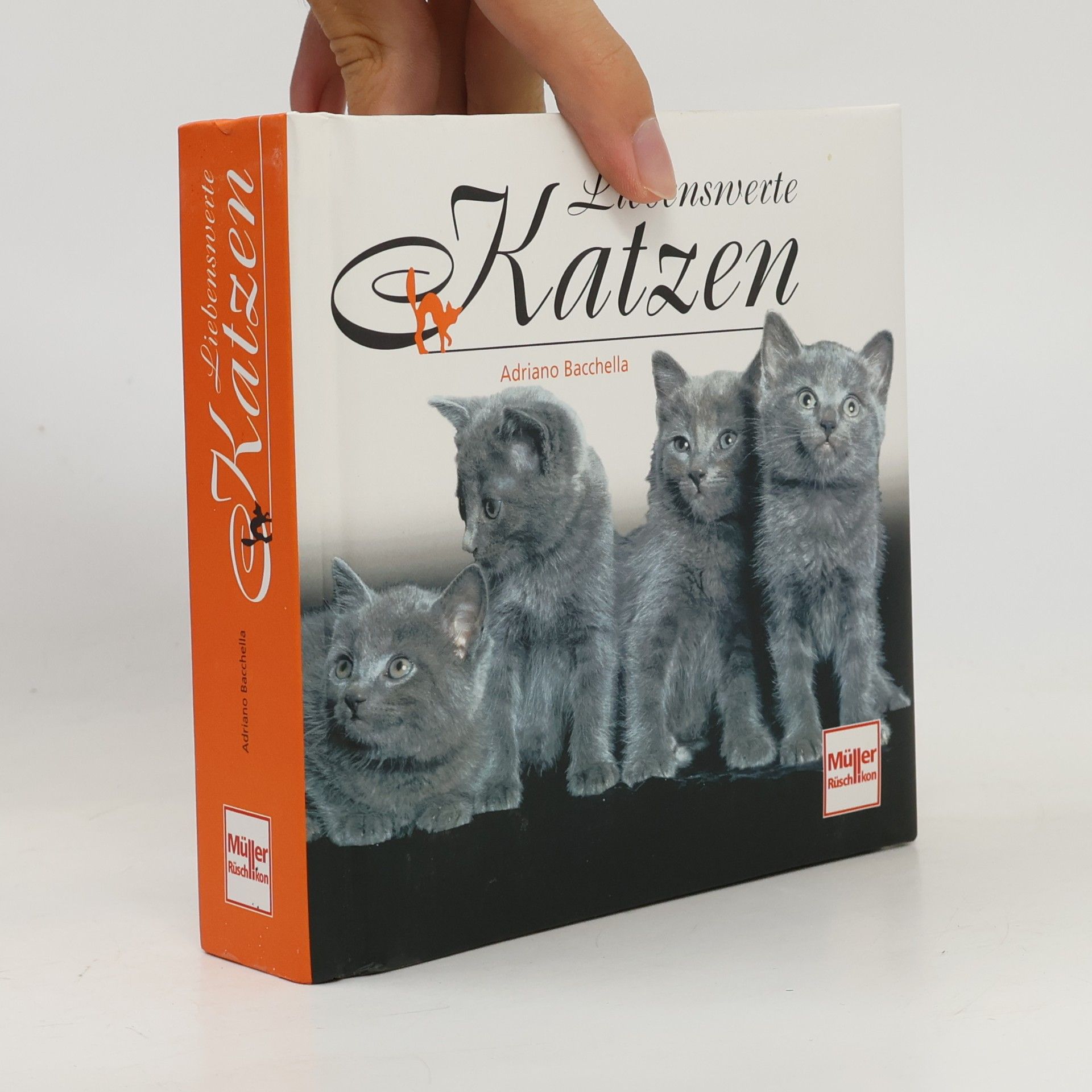 Adriano Bacchella Liebenswerte Katzen