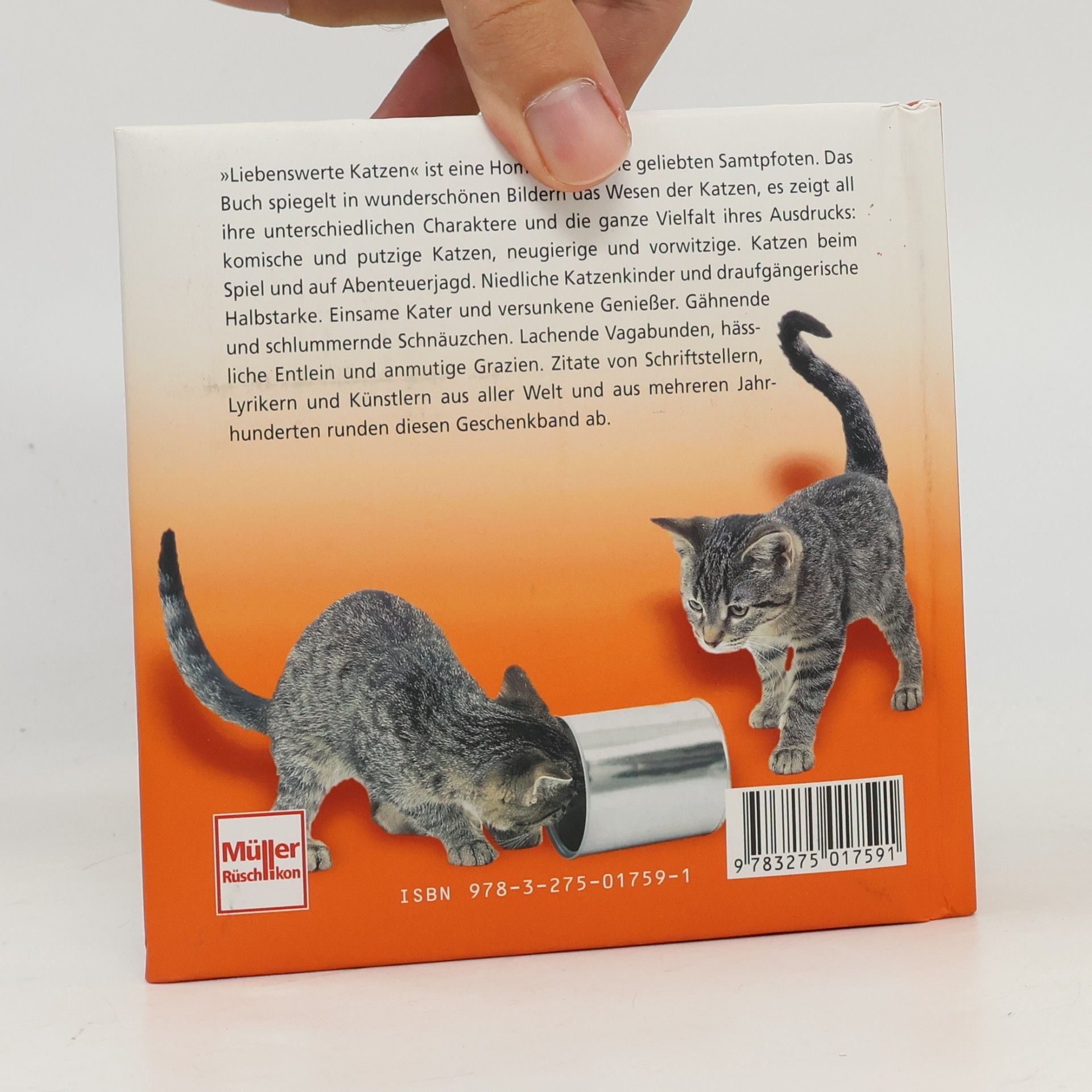 Adriano Bacchella Liebenswerte Katzen