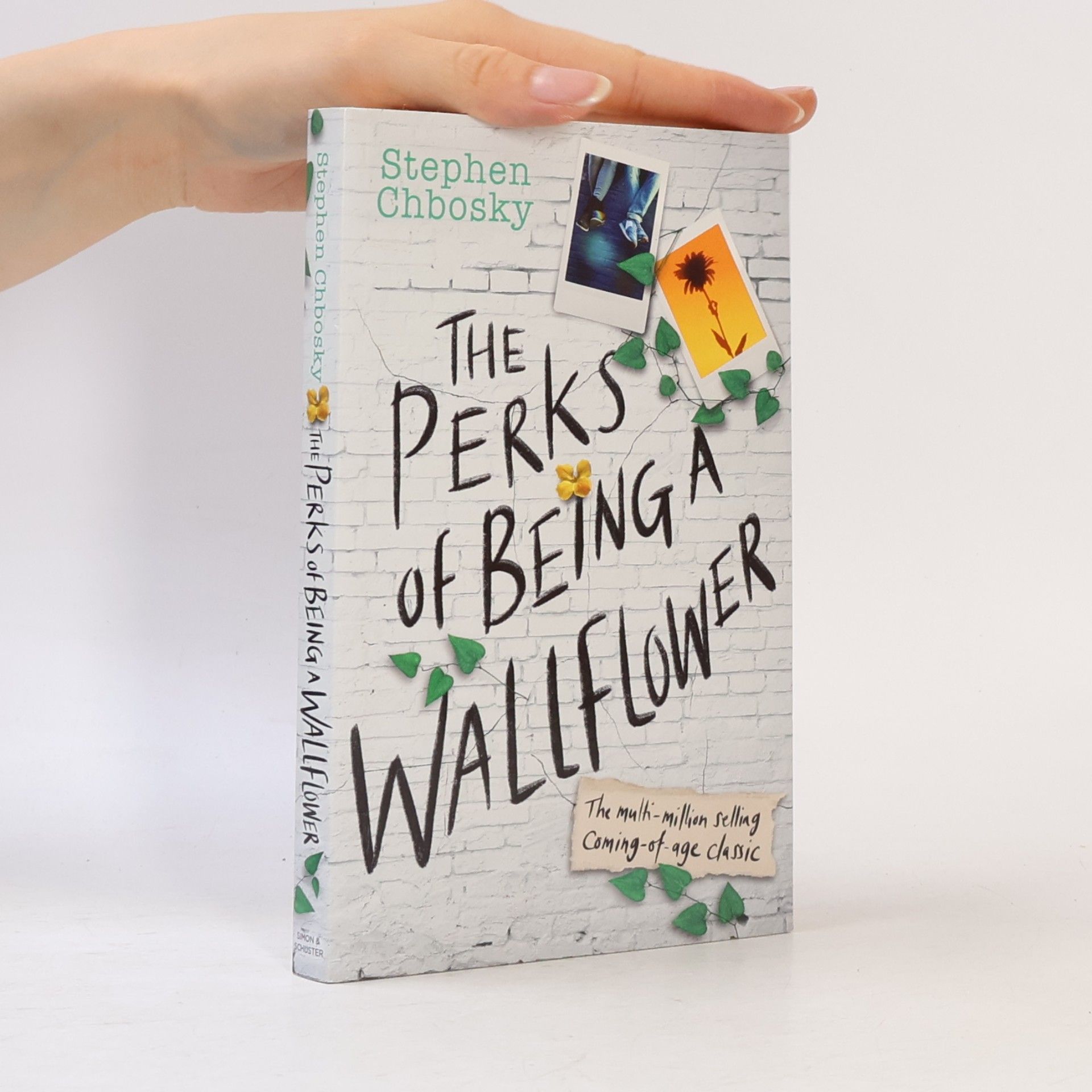 Stephen Chbosky The Perks of Being a Wallflower YA Edition