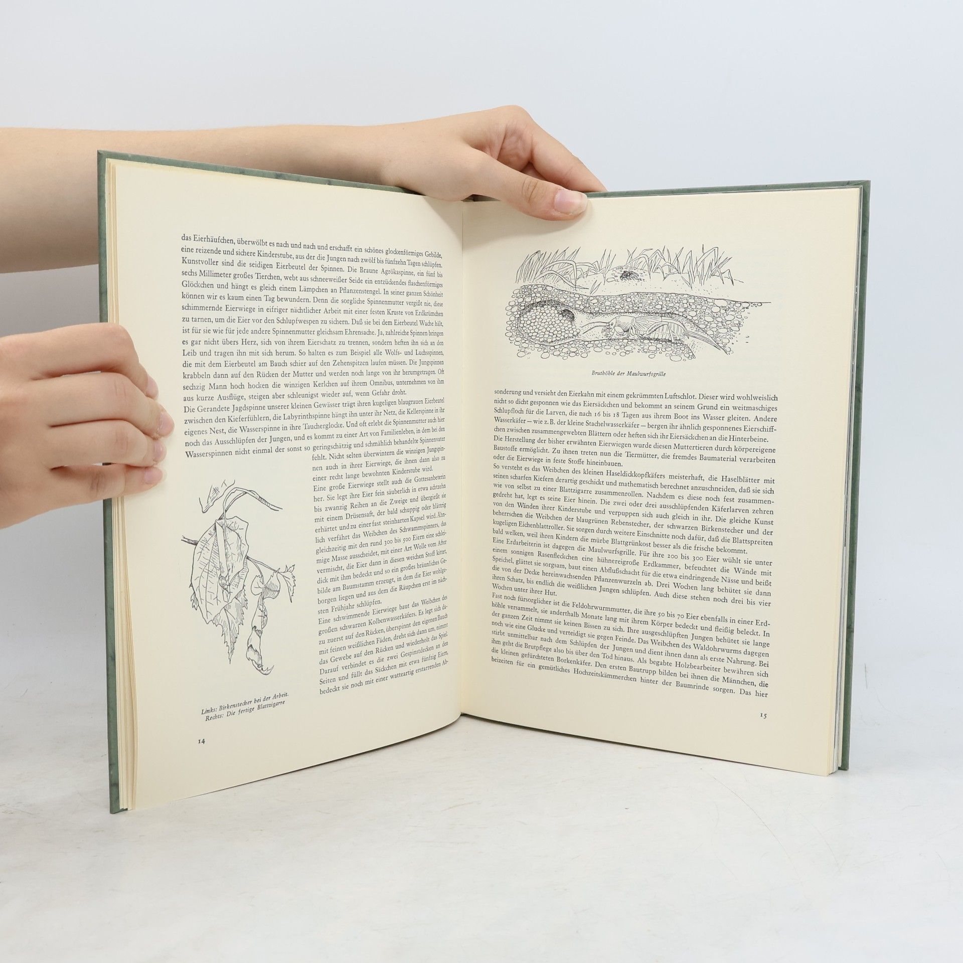 Hans-Wilhelm Smolik Kinderstuben in Wald und Flur