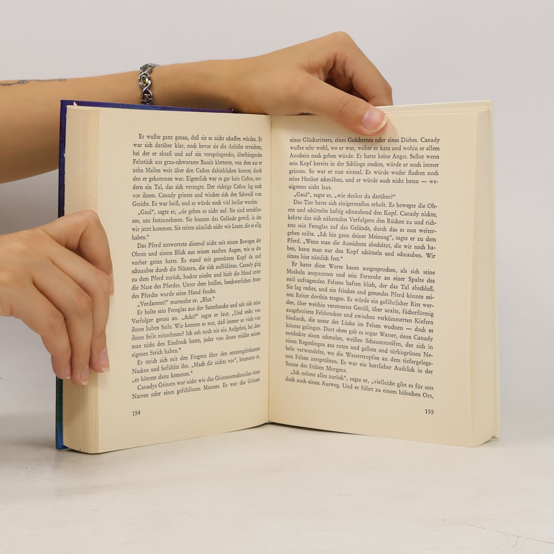 Henri Charpentier Das große Buch der Spukgeschichten