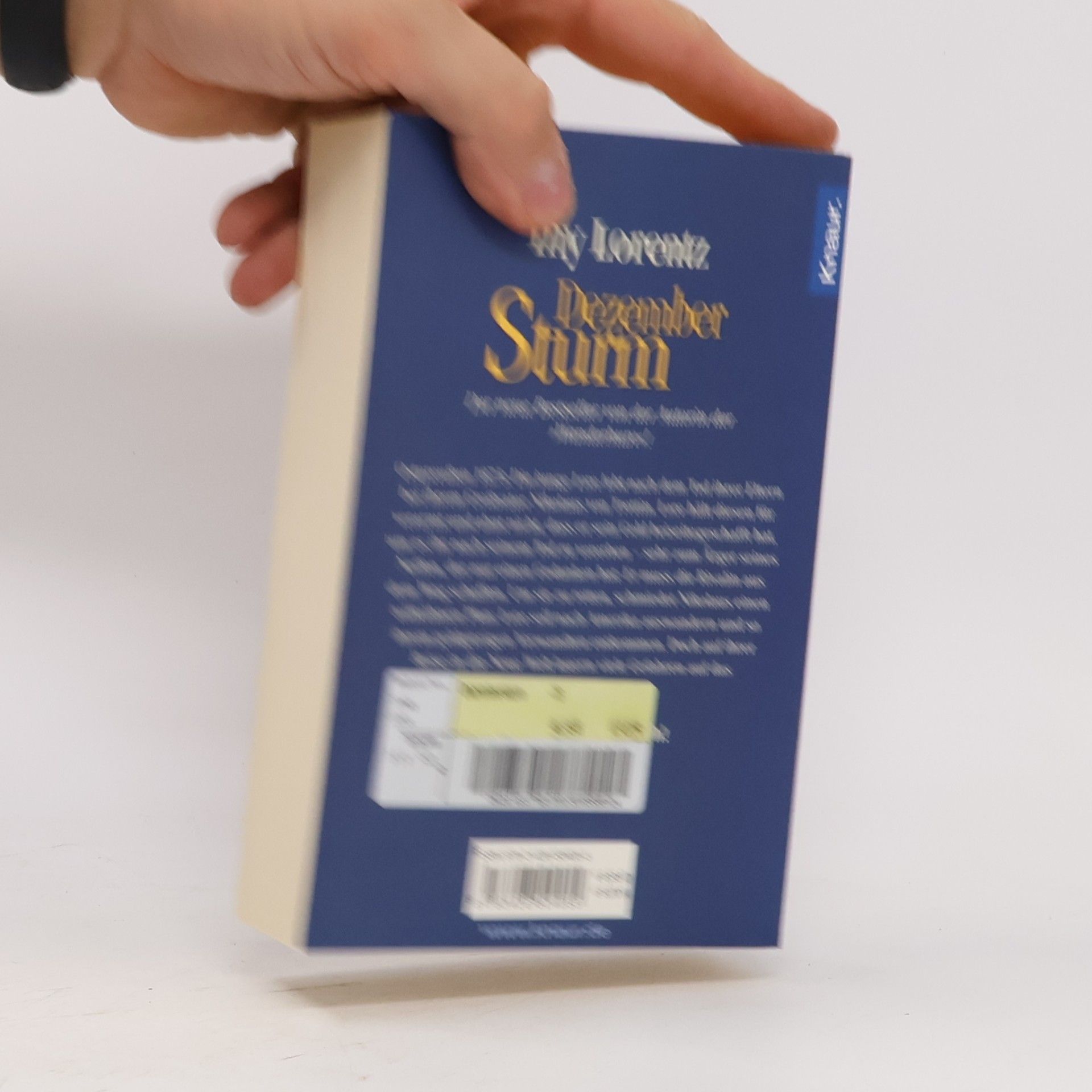 Iny Lorentz Dezember Sturm