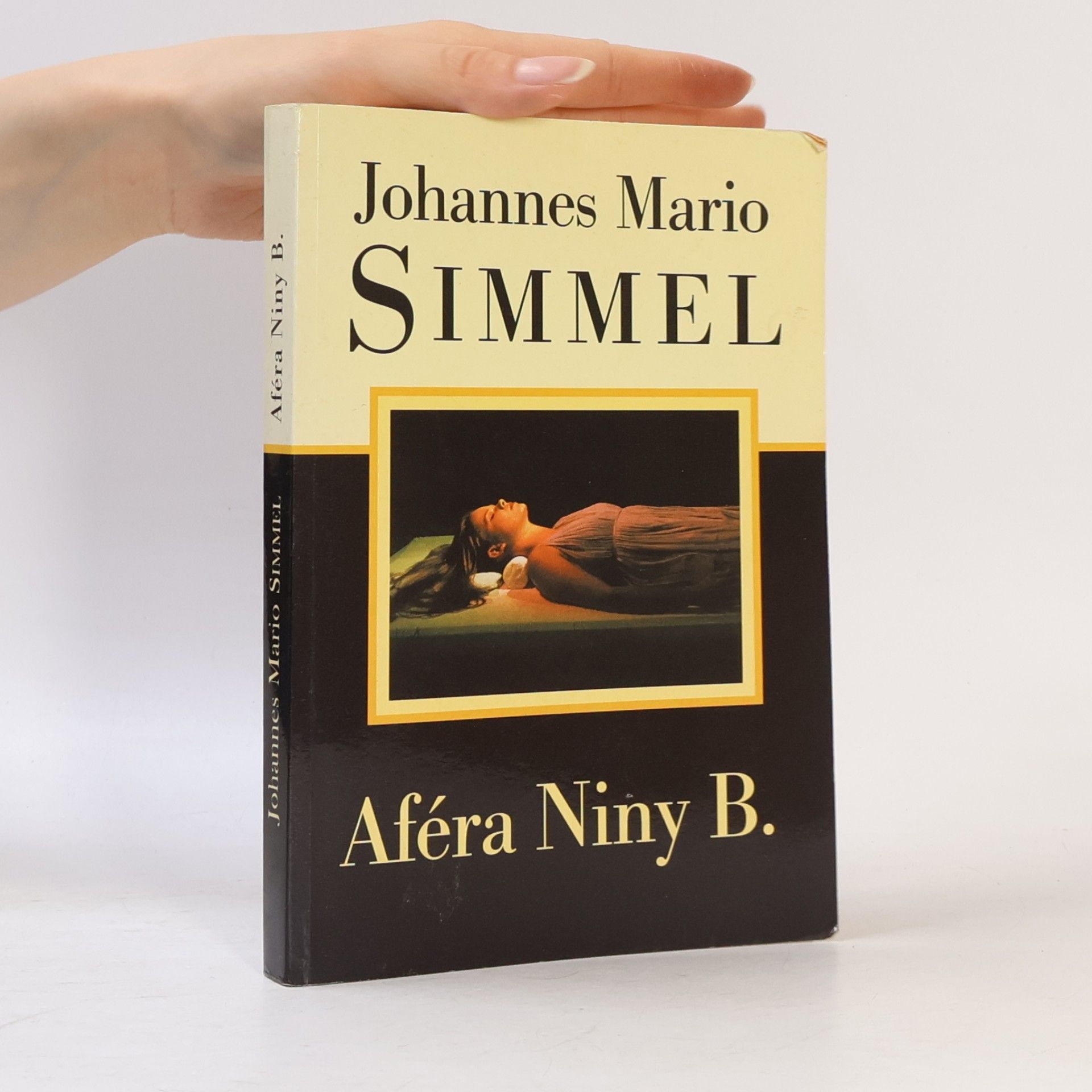 Aféra Niny B.