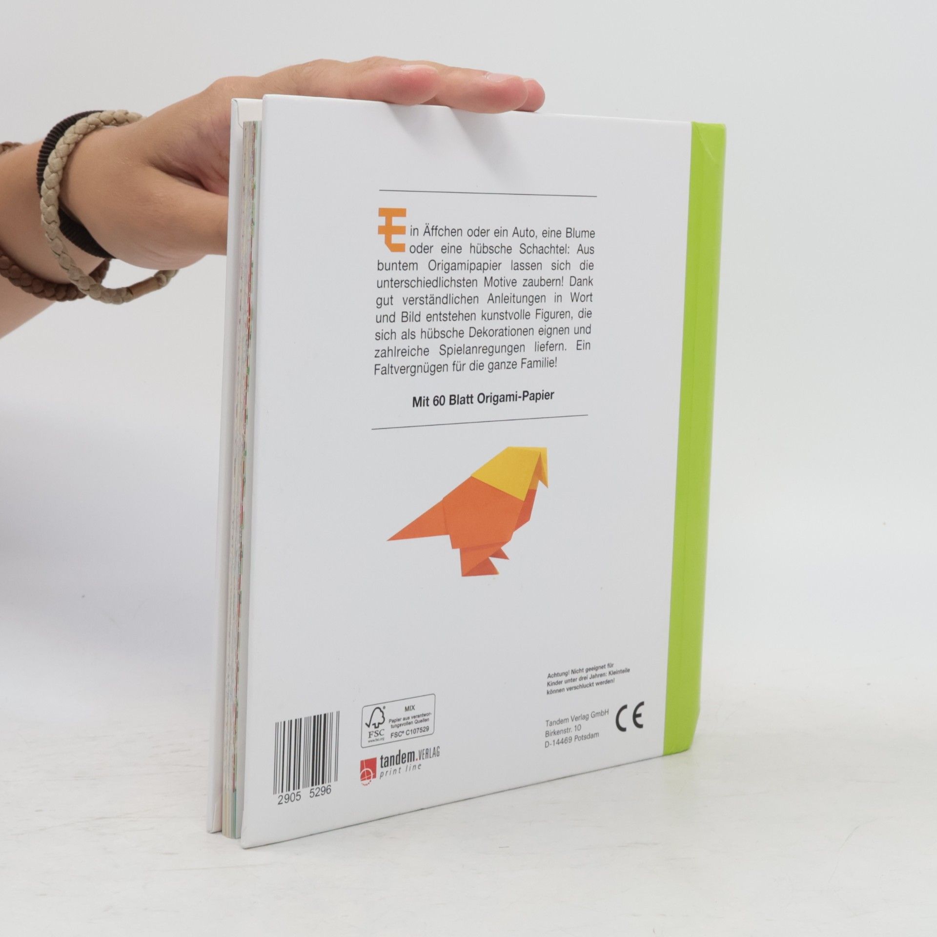 Kolektív autorov Kunterbuntes Origami