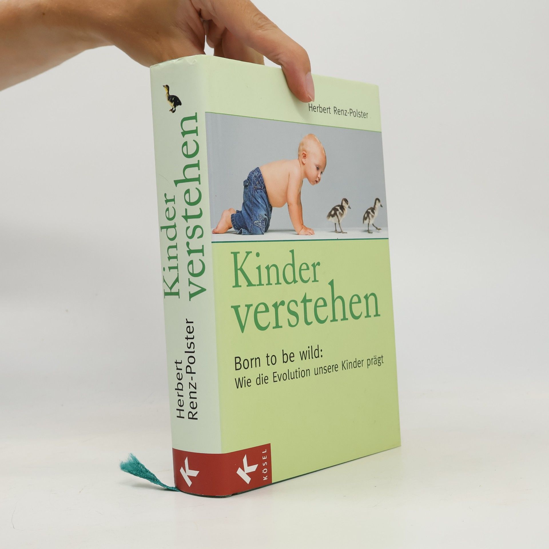 Herbert Renz-Polster Kinder verstehen