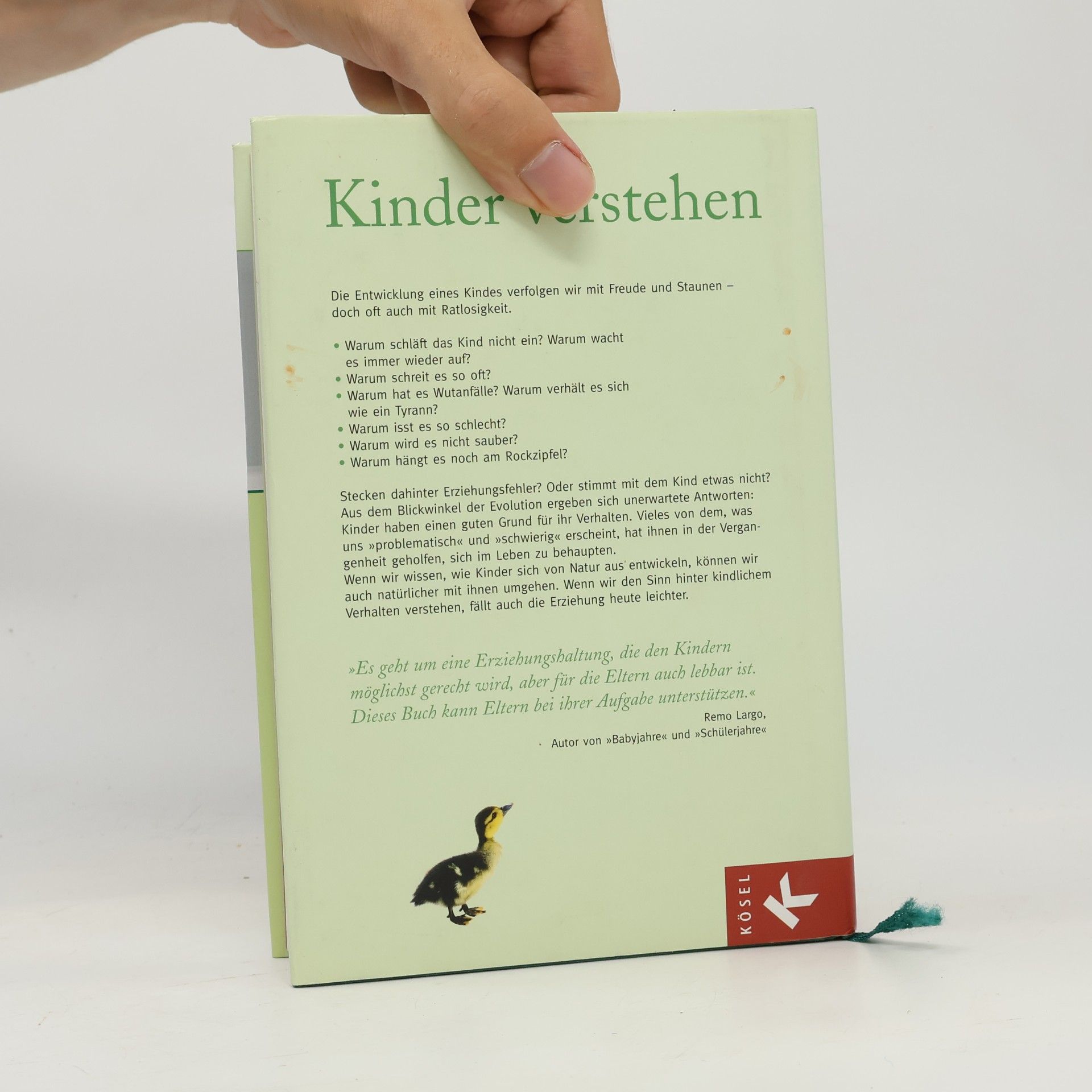 Herbert Renz-Polster Kinder verstehen