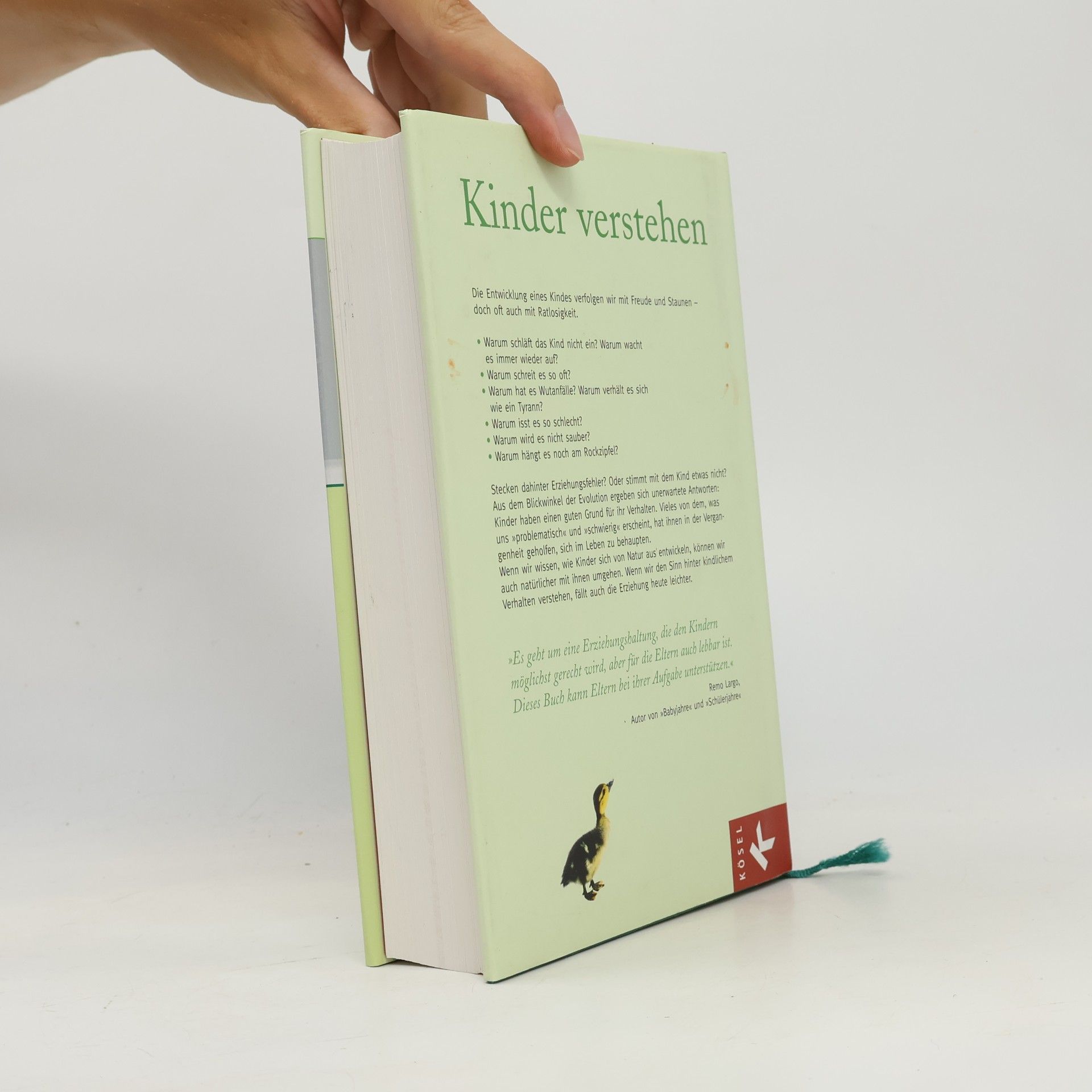 Herbert Renz-Polster Kinder verstehen
