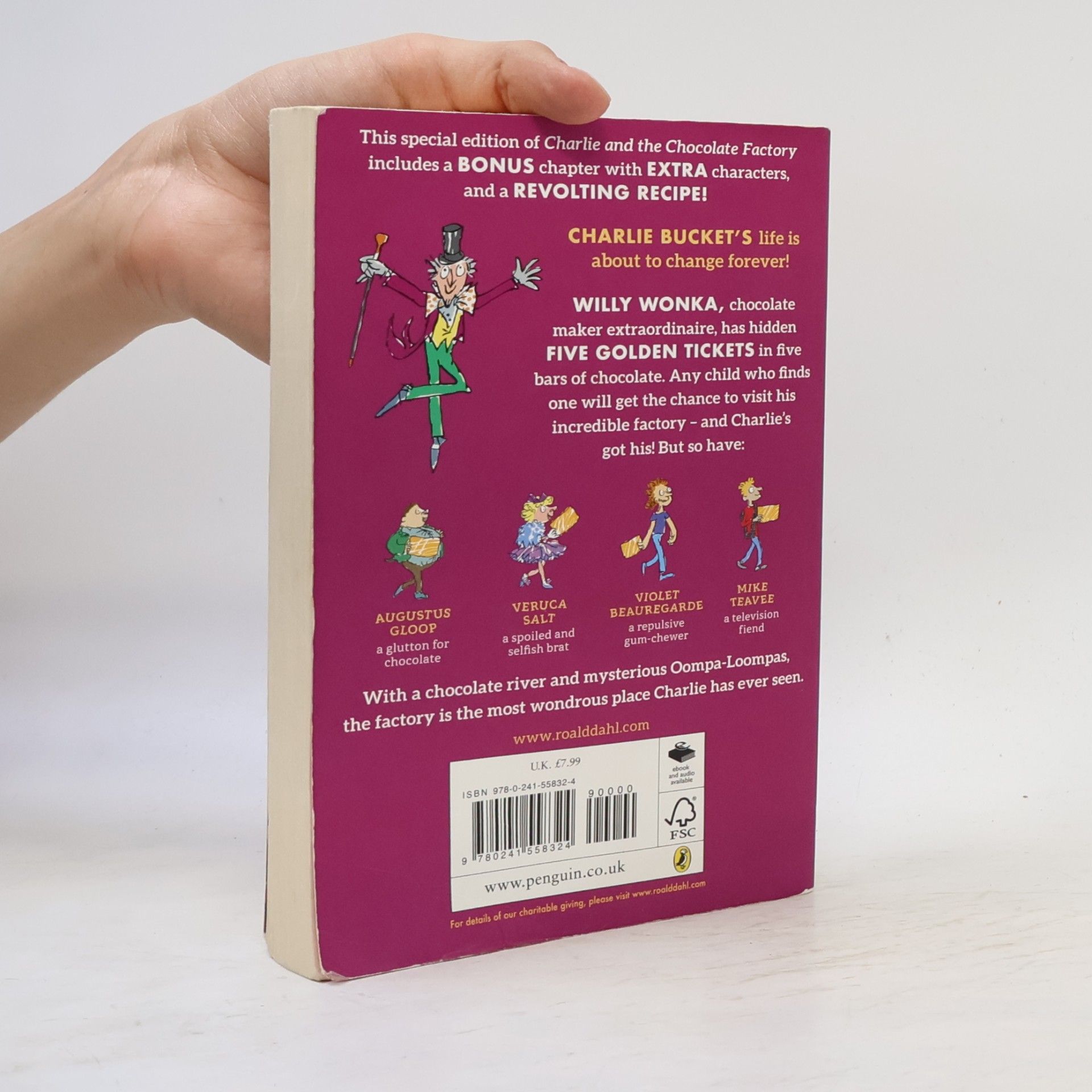 Roald Dahl Charlie and the Chocolate Factory