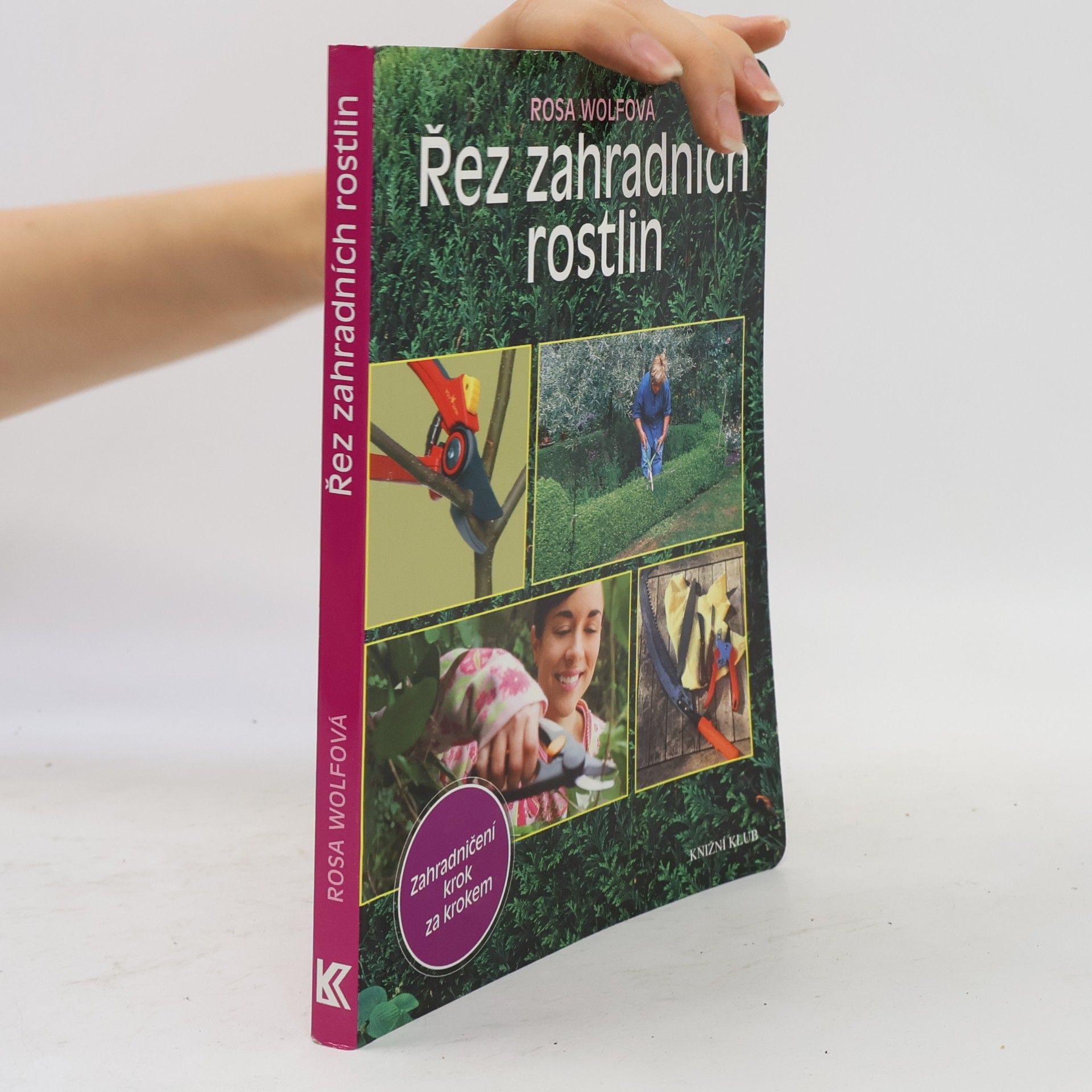 Rosa Wolf Řez zahradních rostlin