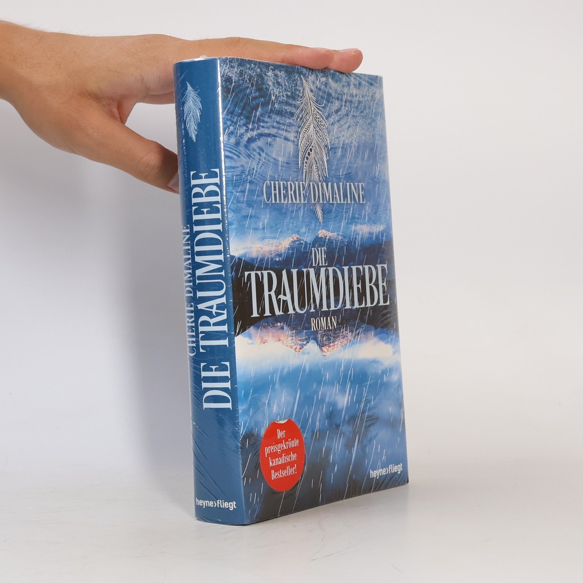 Cherie Dimaline Die Traumdiebe