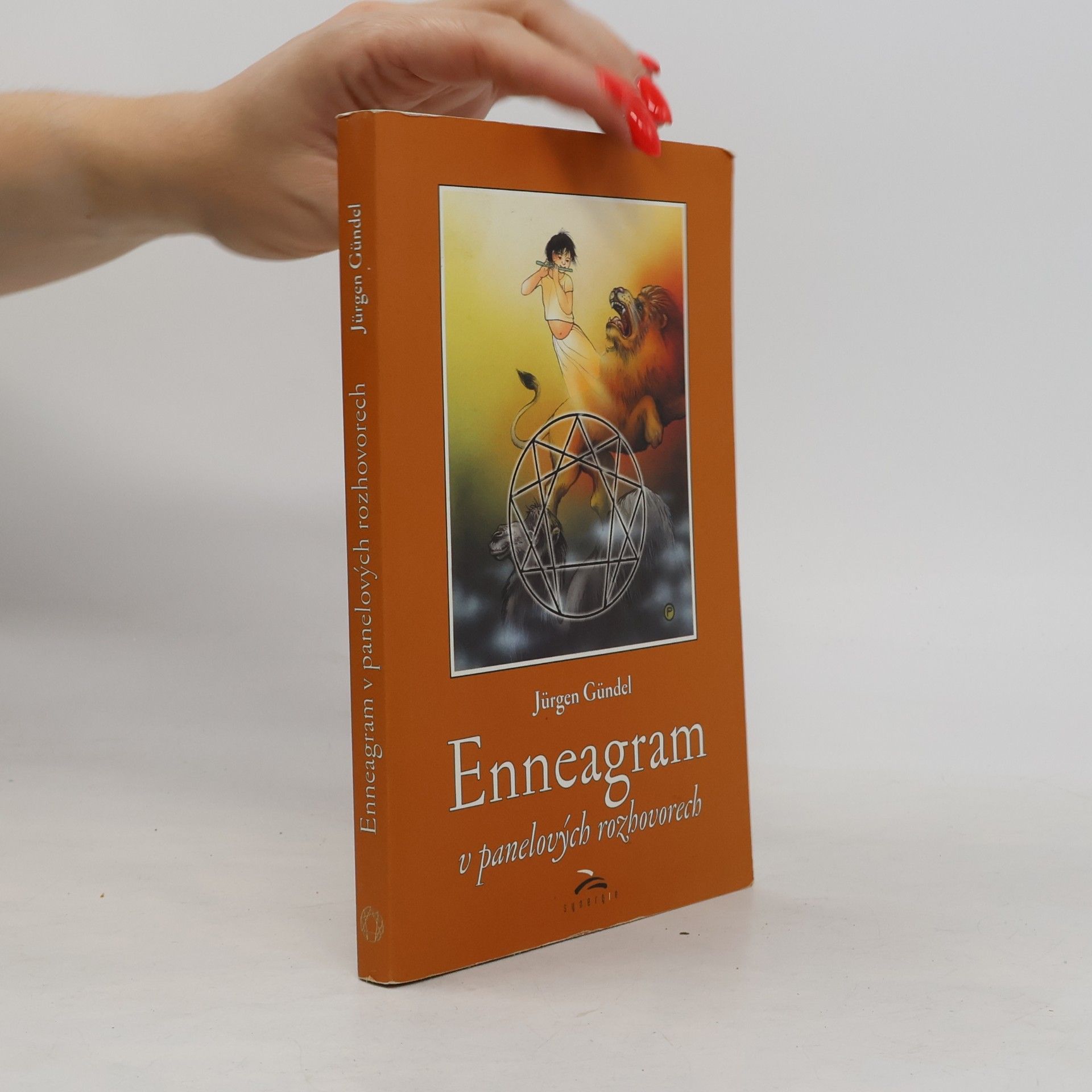 Jürgen Gündel Enneagram v panelových rozhovorech