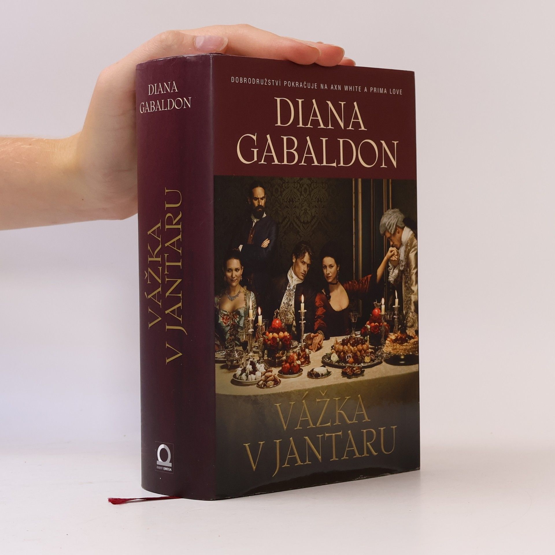 Diana Gabaldon Vážka v jantaru