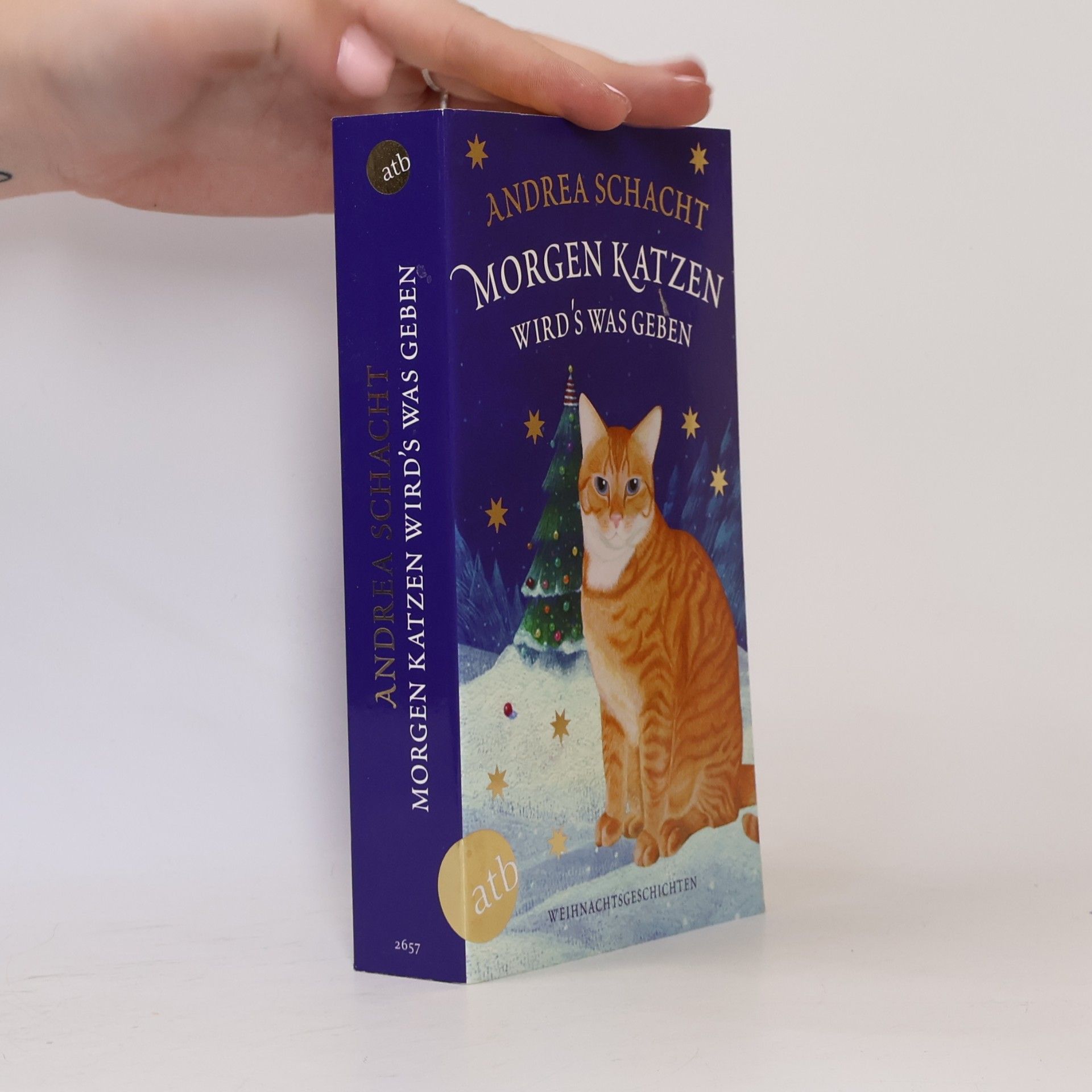 Andrea Schacht Morgen Katzen. Wird's Was Gegen