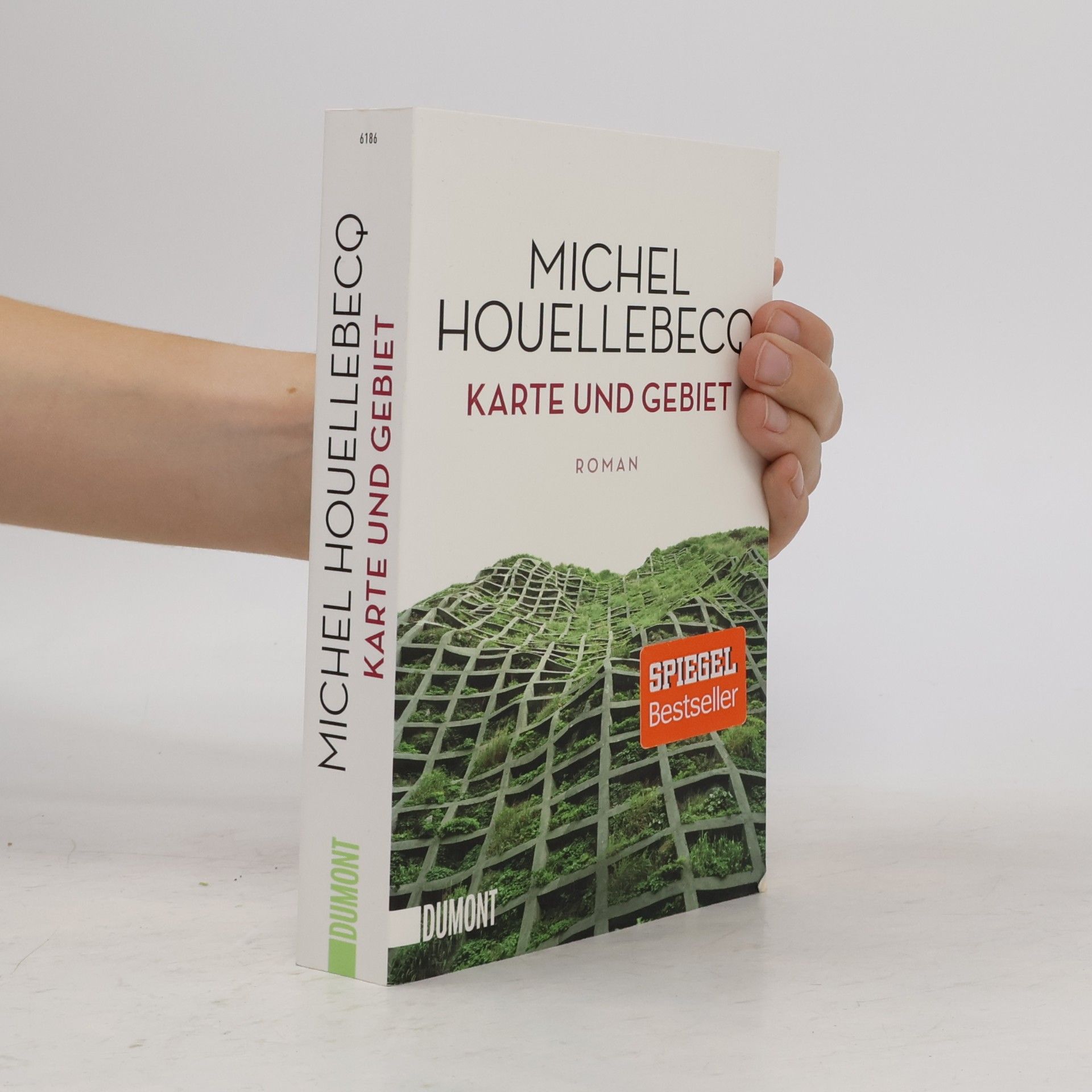 Michel Houellebecq Karte und Gebiet