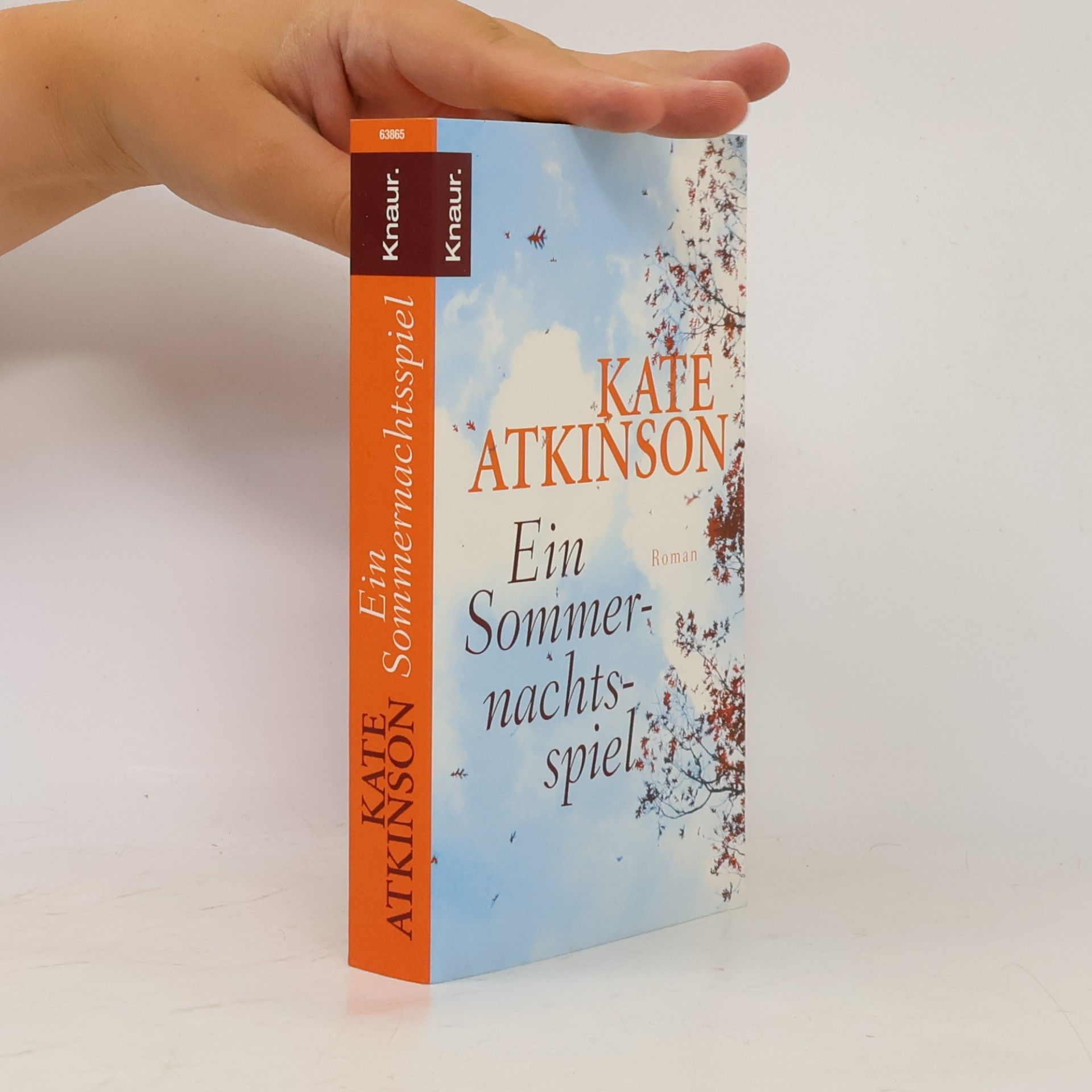 Kate Atkinson Ein Sommernachtsspiel