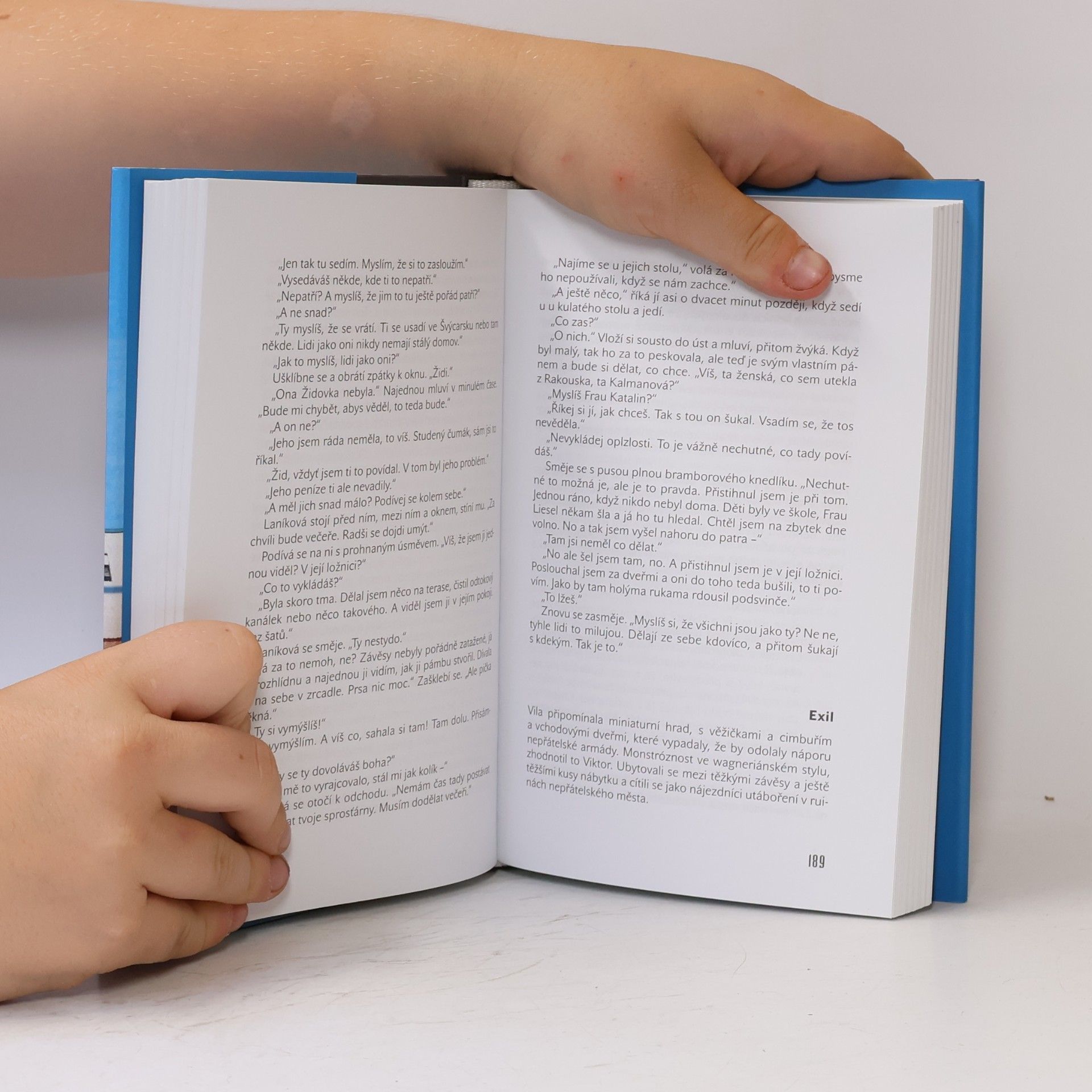 Simon Mawer Skleněný pokoj
