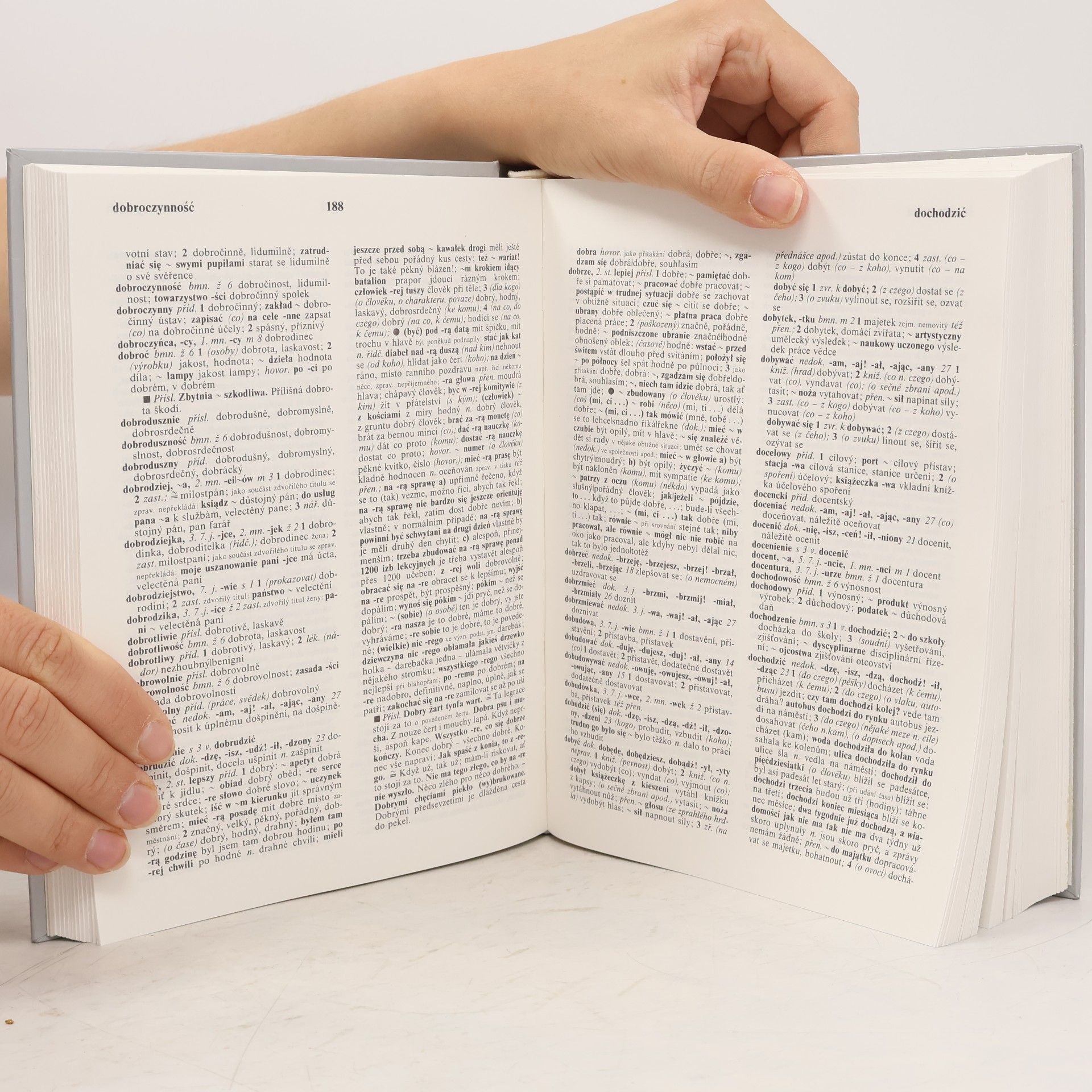 Autorenkollektiv Polsko-český slovník I. A-Ó