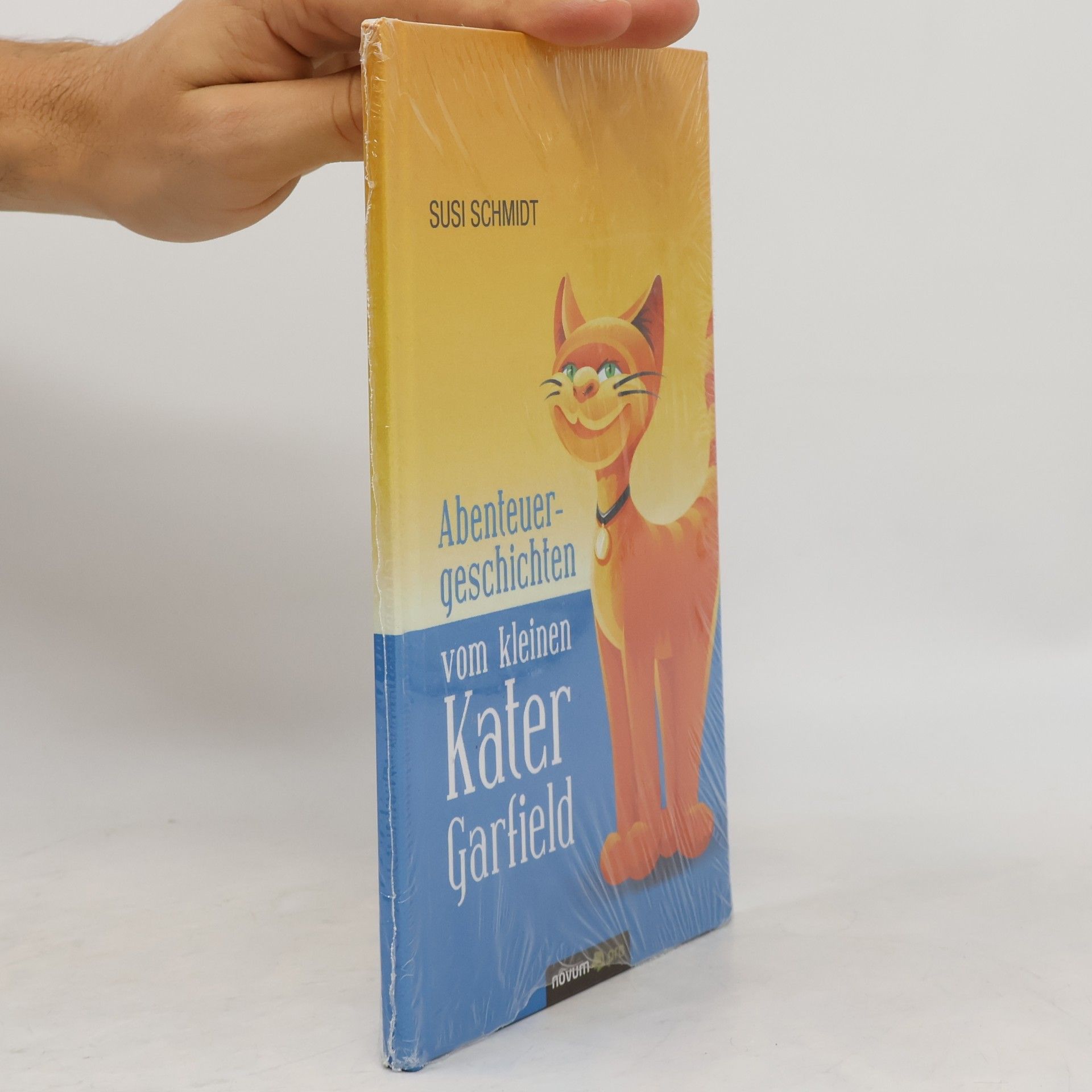 Susi Schmidt Abenteuergeschichten vom kleinen Kater Garfield