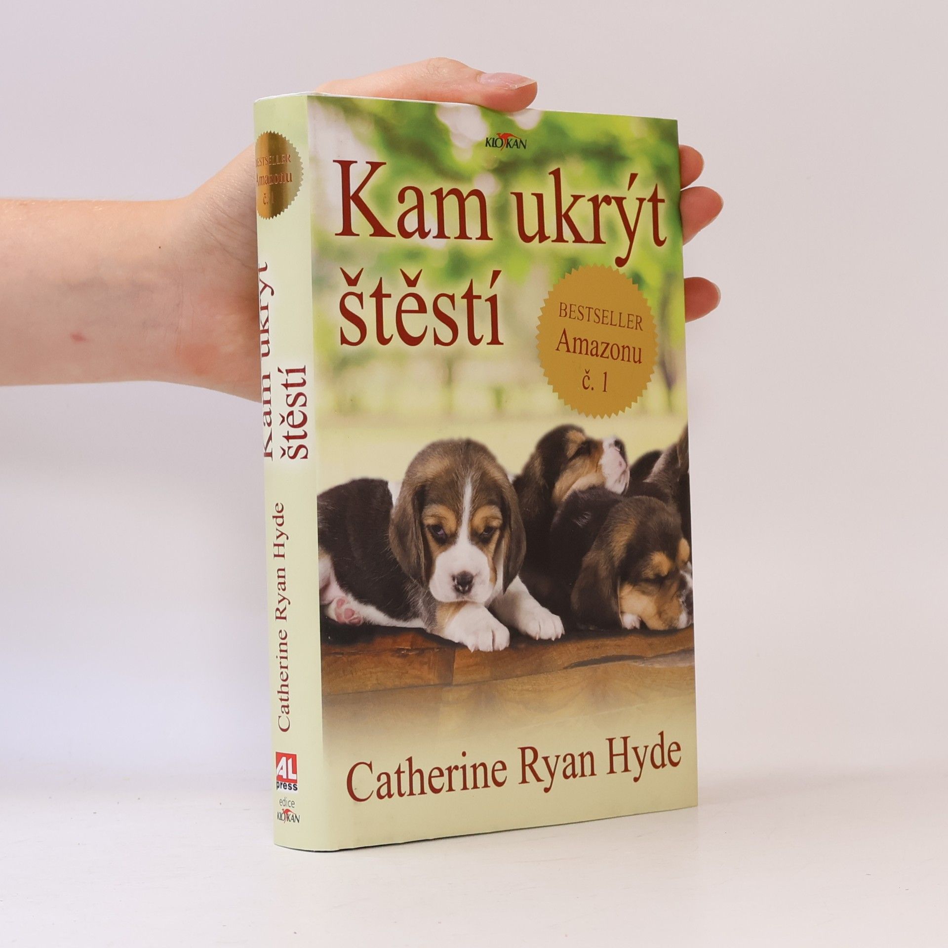 Kam ukrýt štěstí