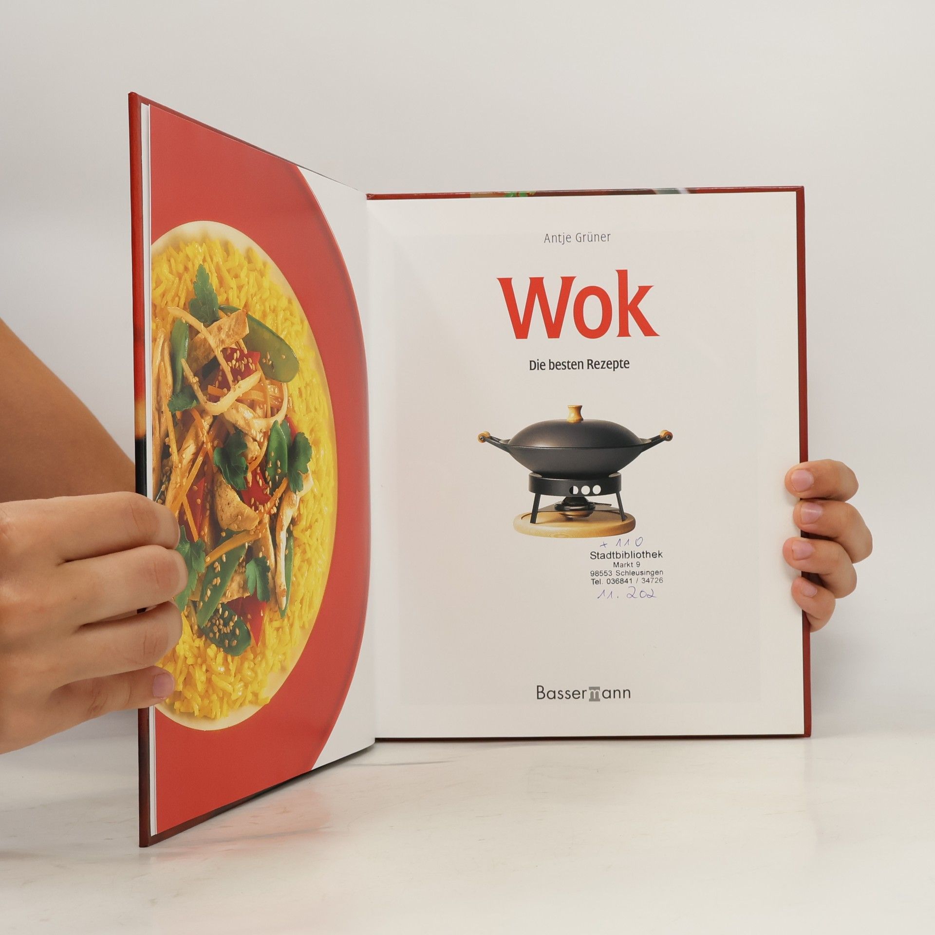 Antje Grüner Wok