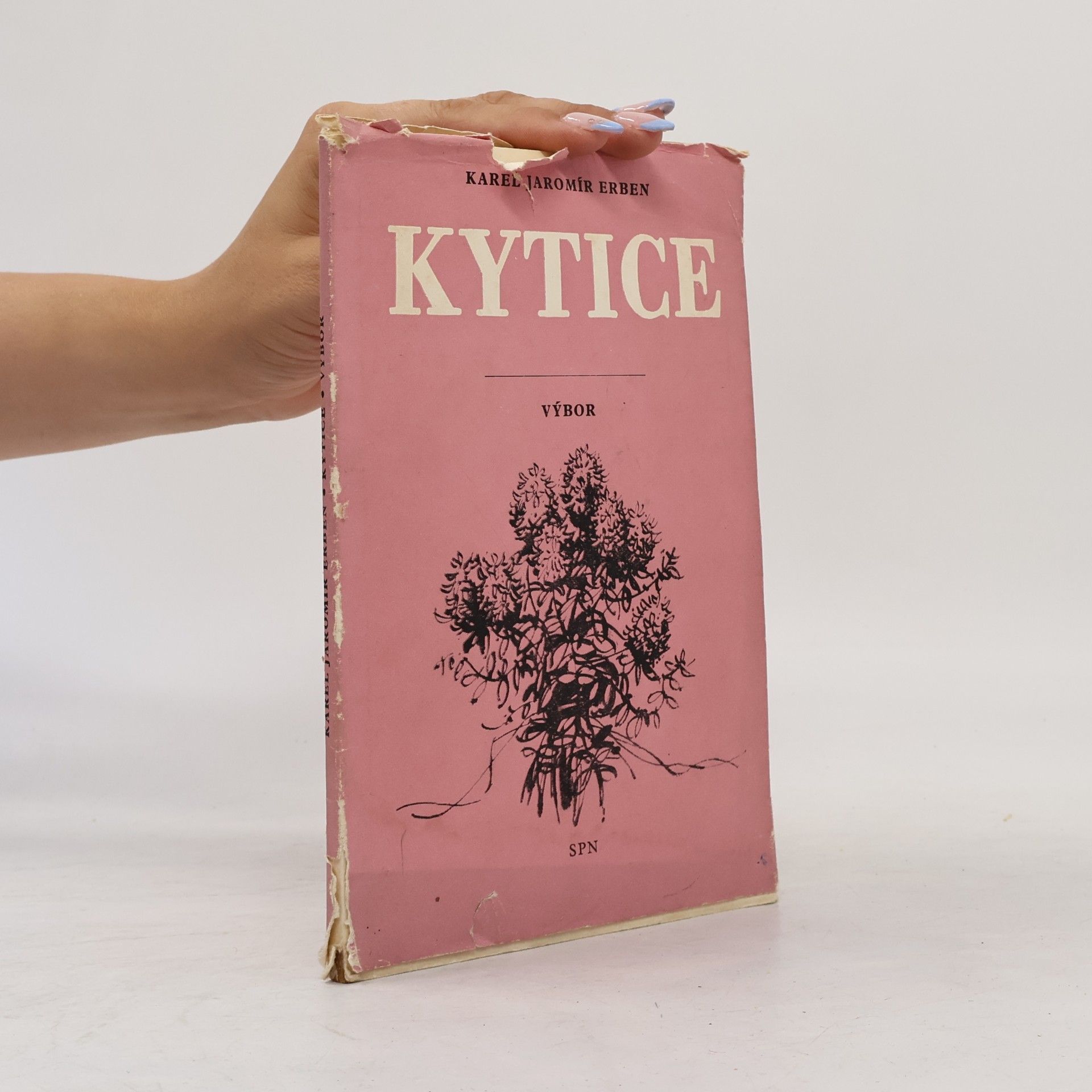 Karel Jaromír Erben Kytice