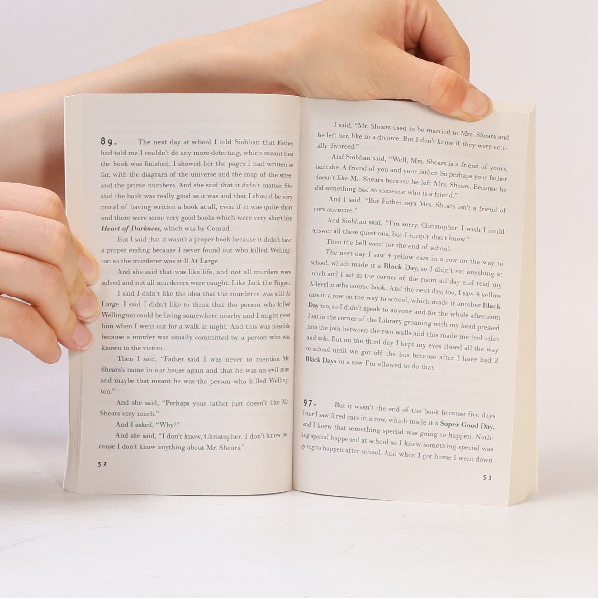 Mark Haddon The curious incident of the dog in the night-time